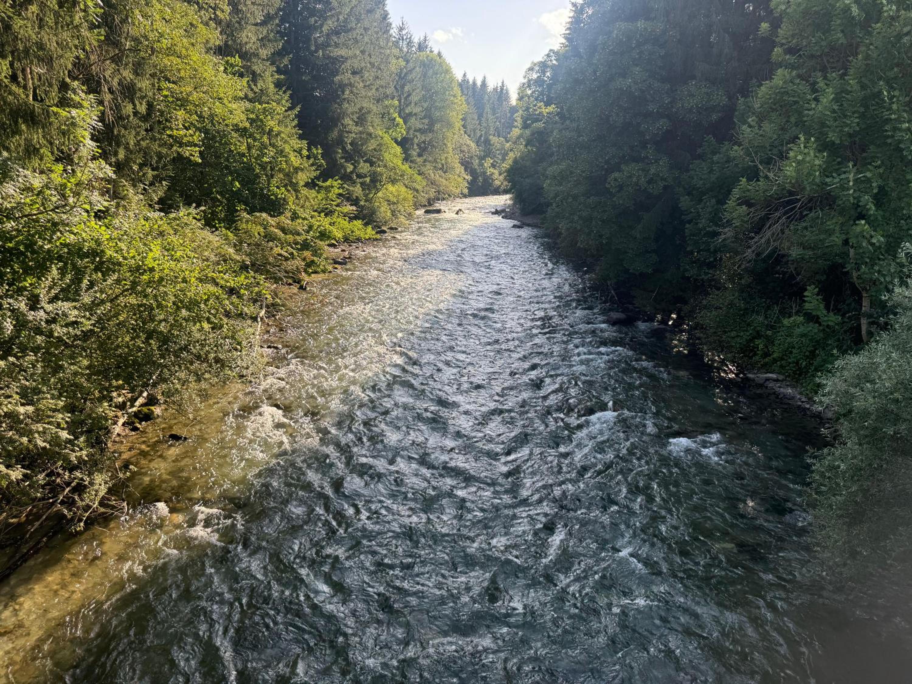 Direkt-am-Fluss-und-im-Moelltal-Ferienwohnung-Die-Moell