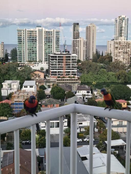 Surfers Paradise Penthouse & Rooftop with city views