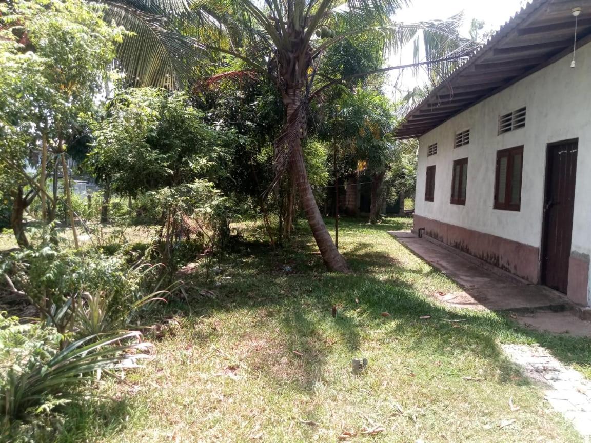 Photo 19