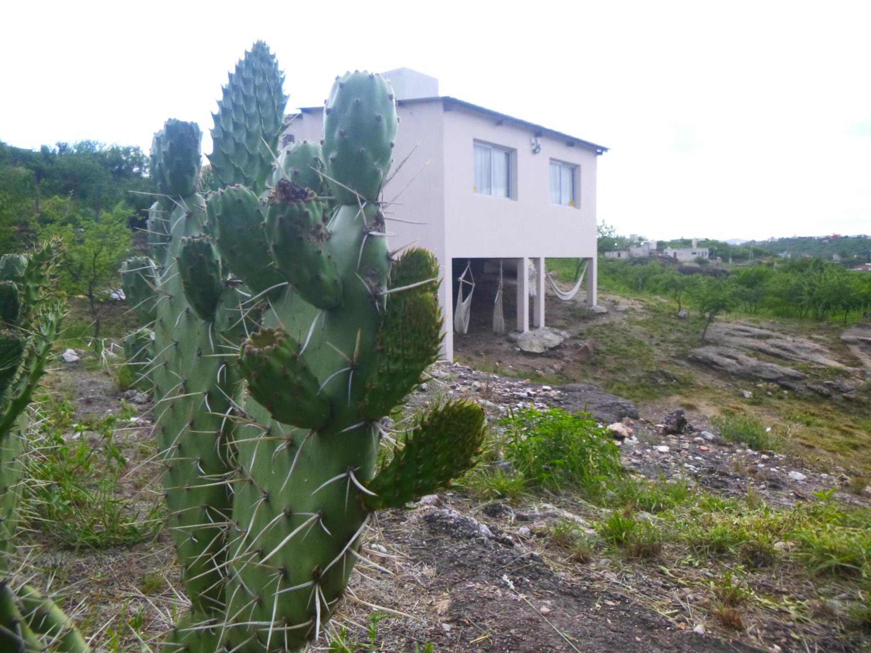 La Tacuarita
