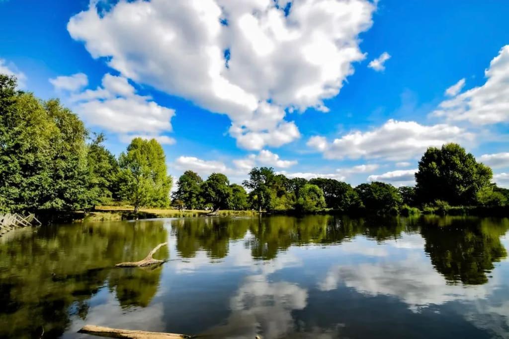 THAMES View Cyan Richmond, FREE GYM, VERY HIGH-SPEED Wi-Fi, PARKING