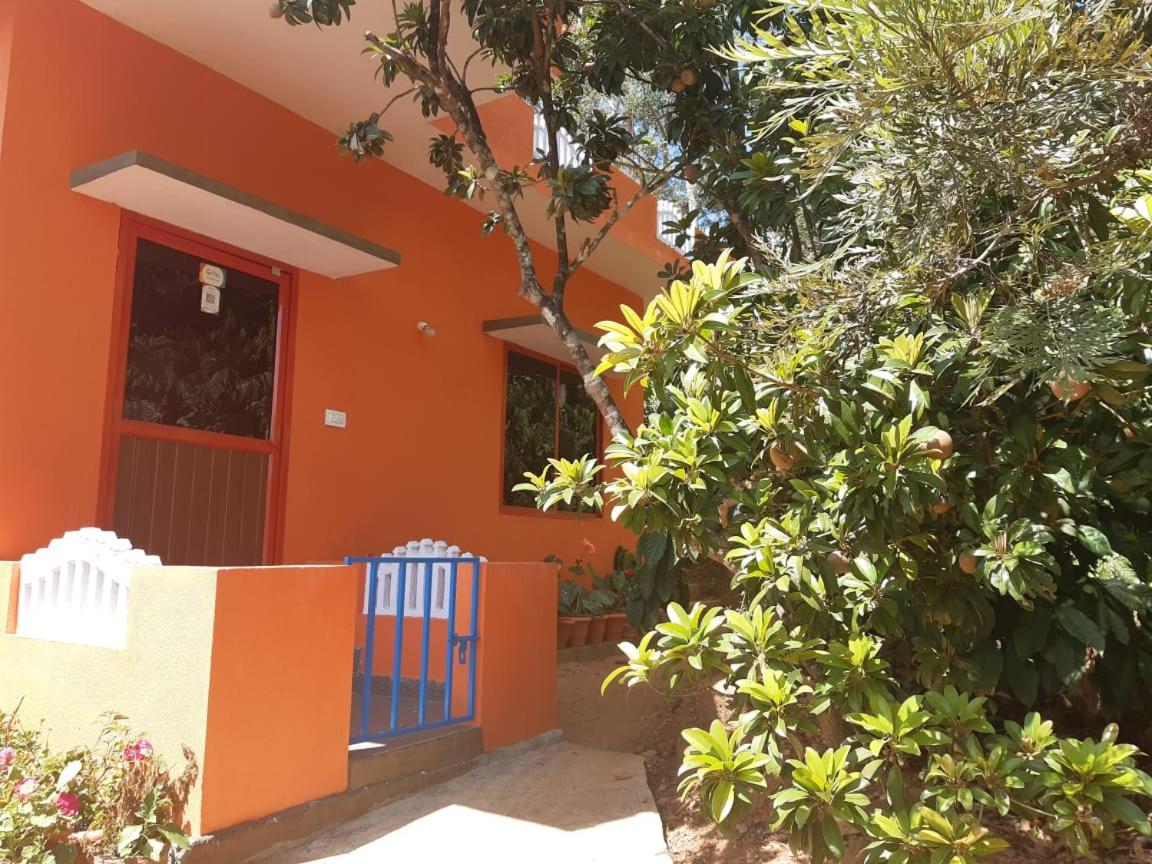 Shambhavihomestay