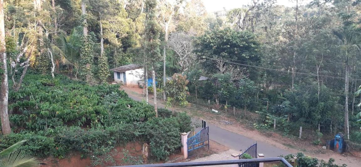 Shambhavihomestay