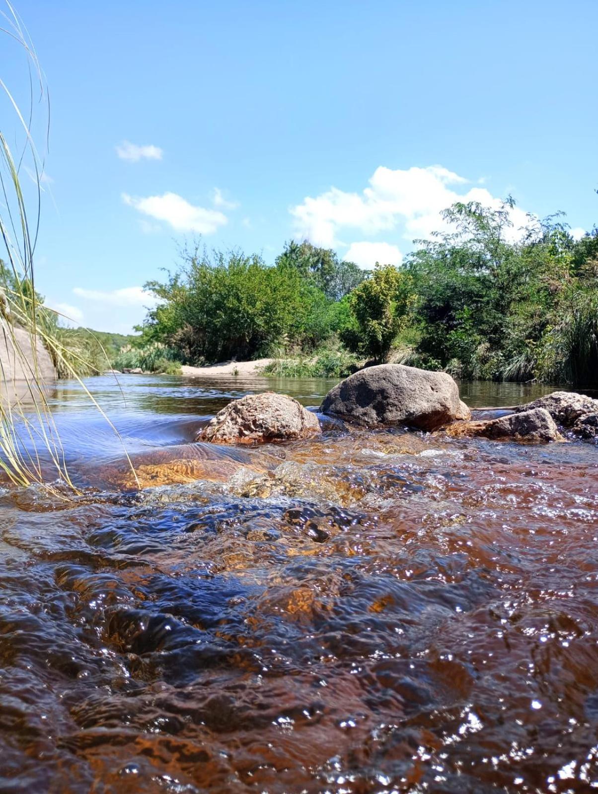 La Tacuarita