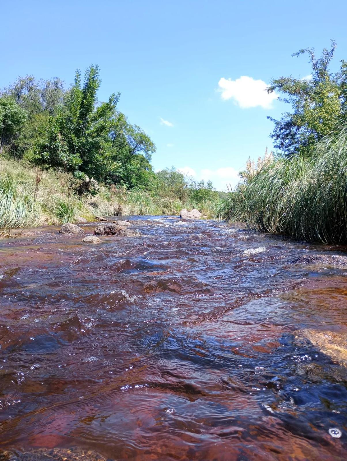 La Tacuarita