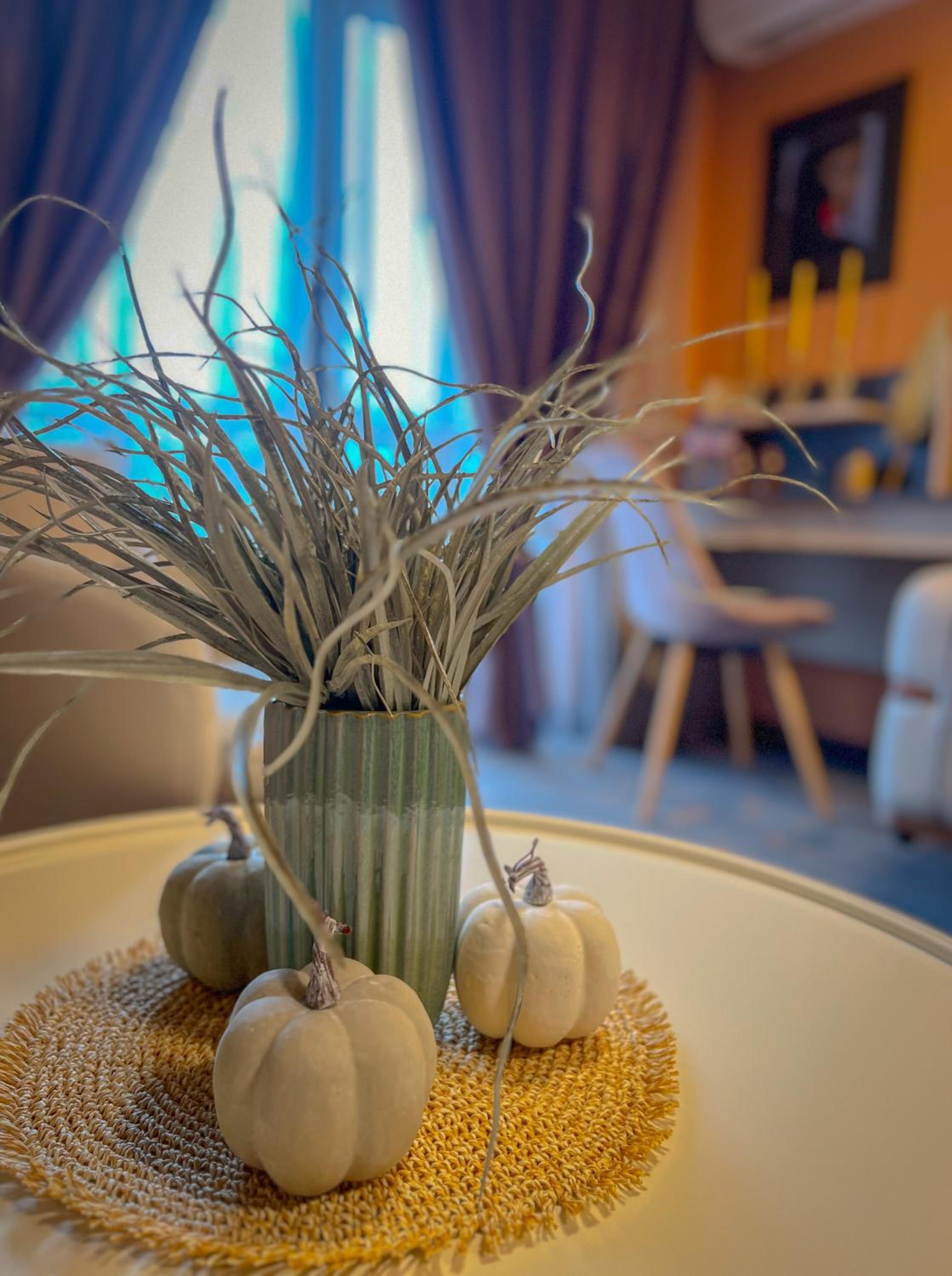 Pino - Villa, Casa, Cucina е Terrazza