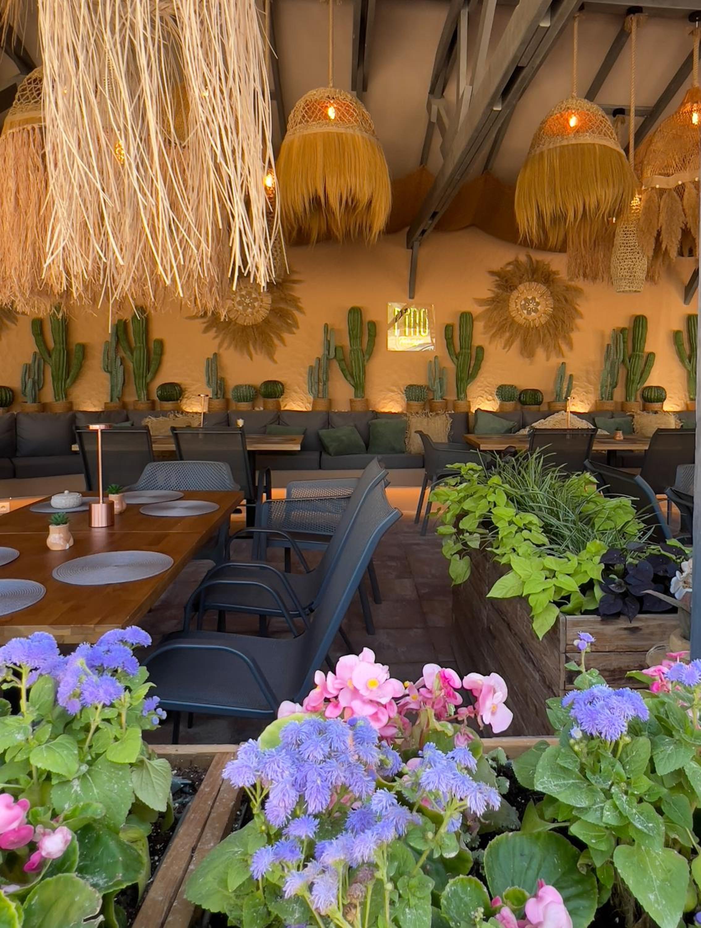 Pino - Villa, Casa, Cucina е Terrazza
