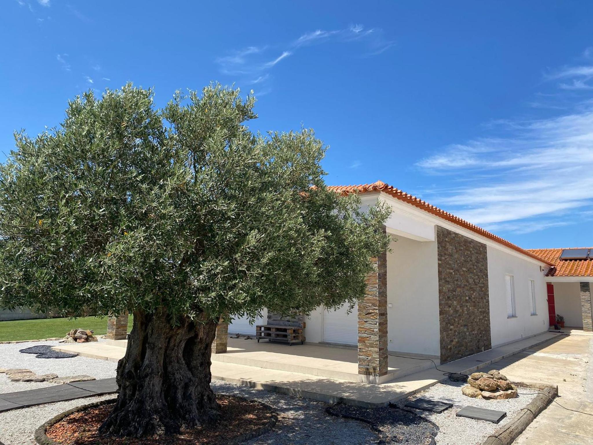 Hotel Adega Monte Maneta - Image 1