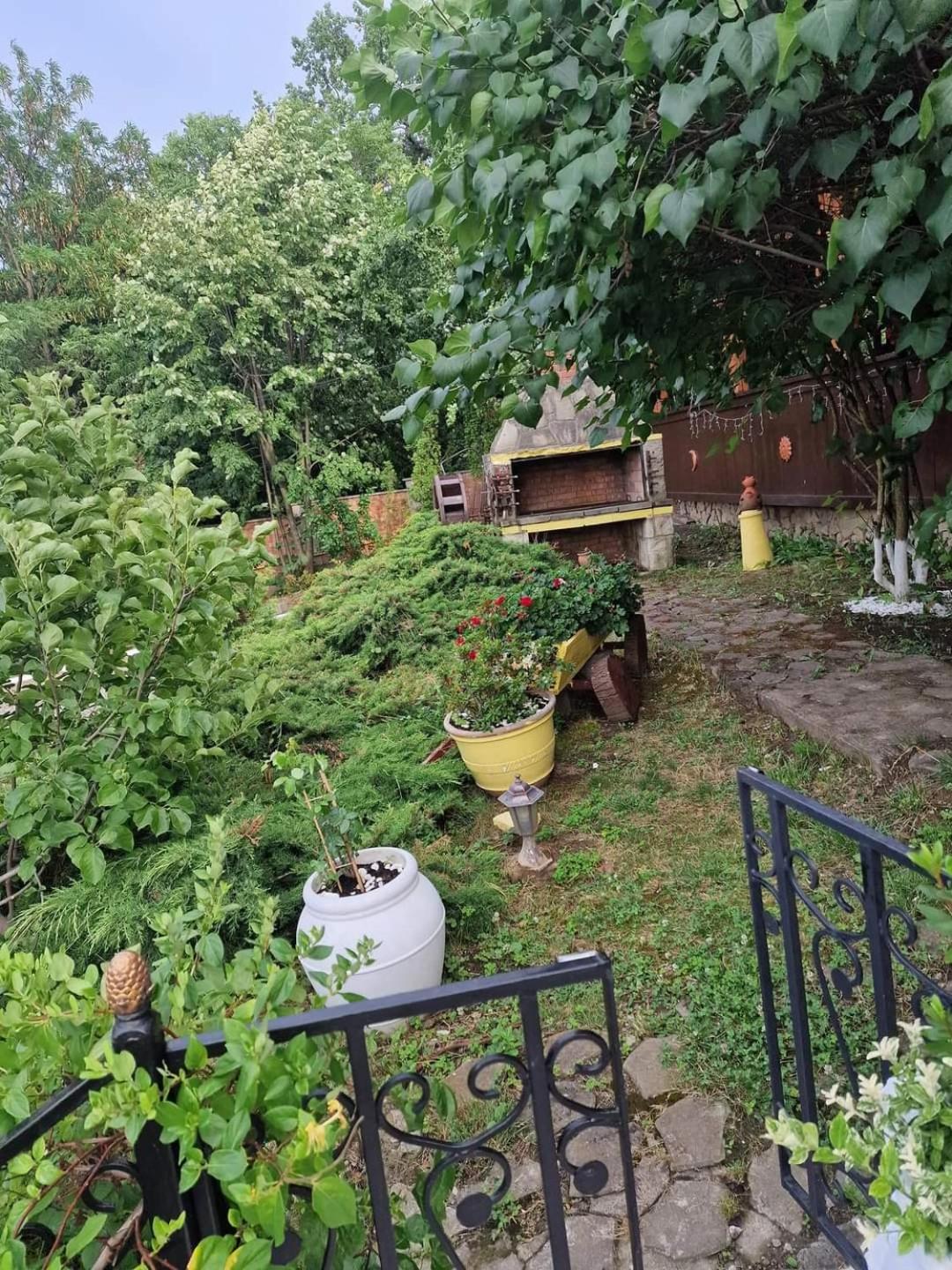 Photo 26