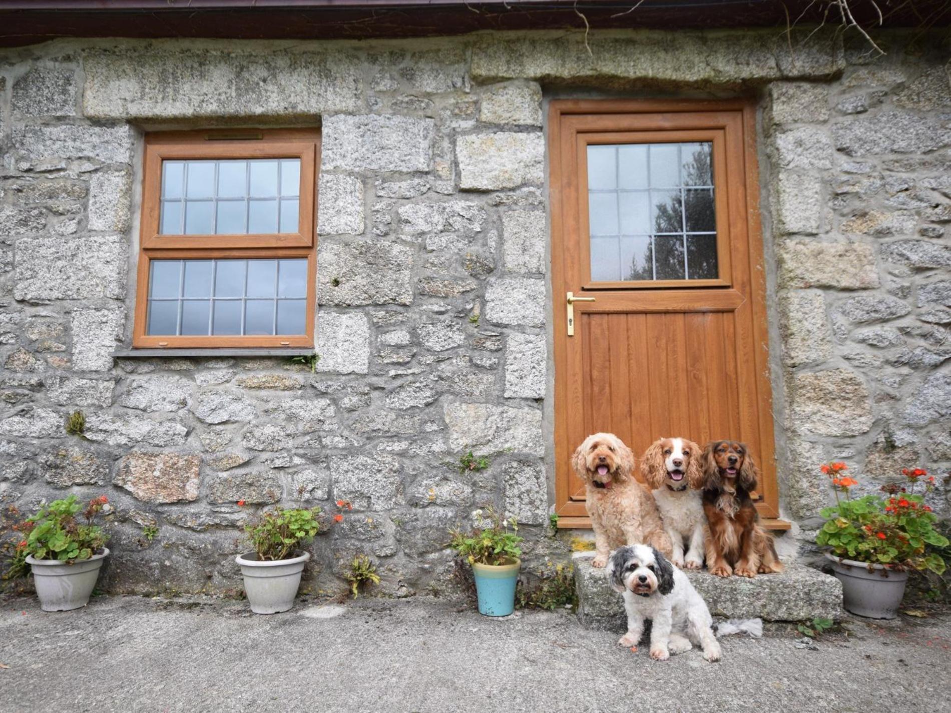3 Bed in Falmouth oc-conwi view 3