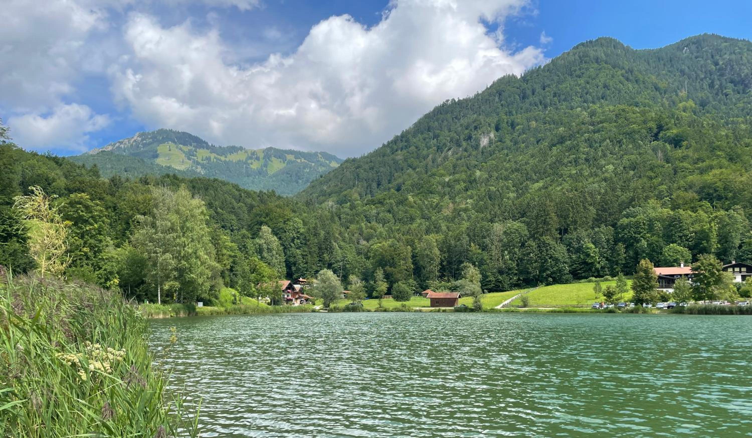 Ferienwohnung SonnenHain