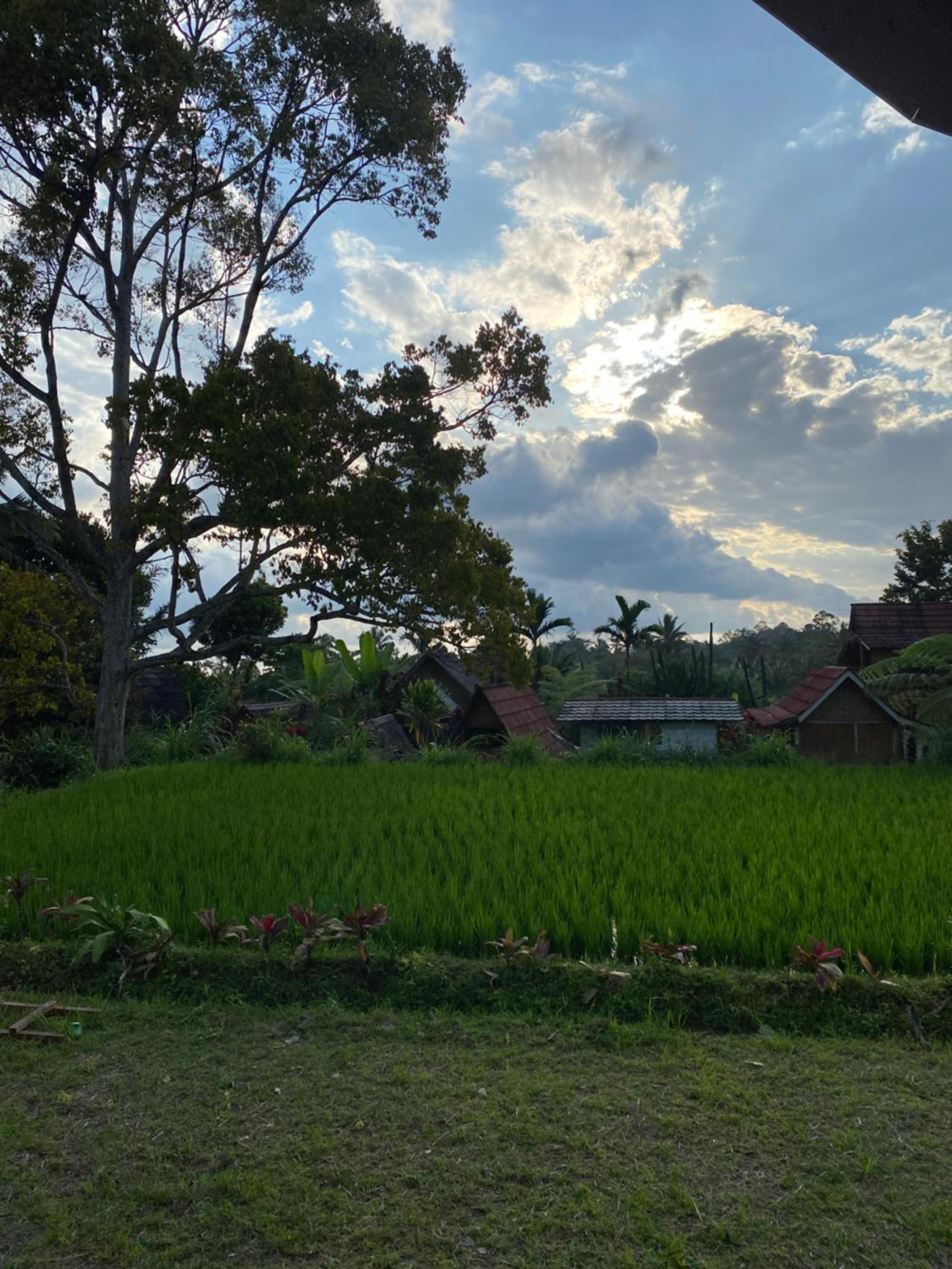Galang Bungalow