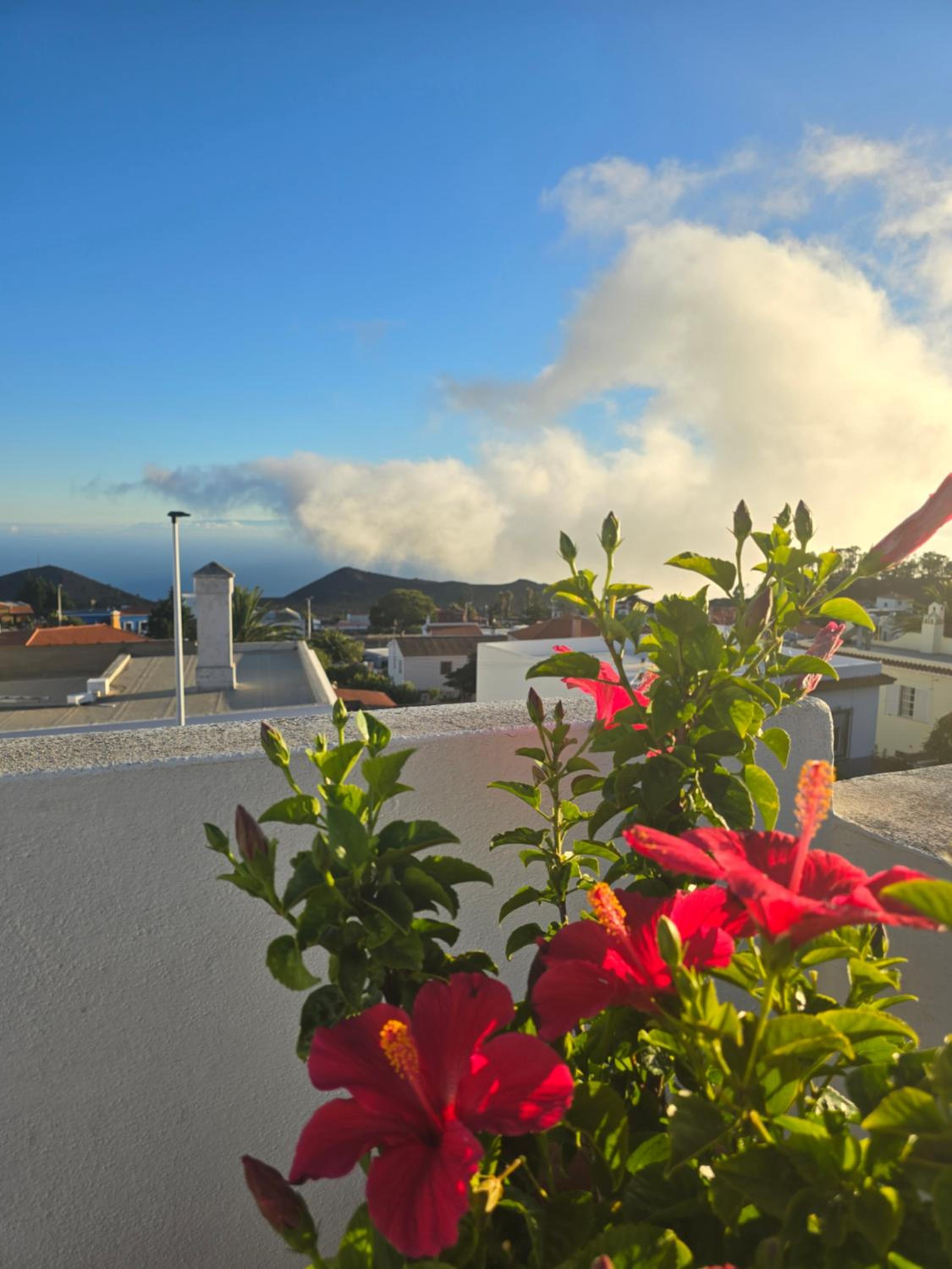 Apartamentos Los Volcanes