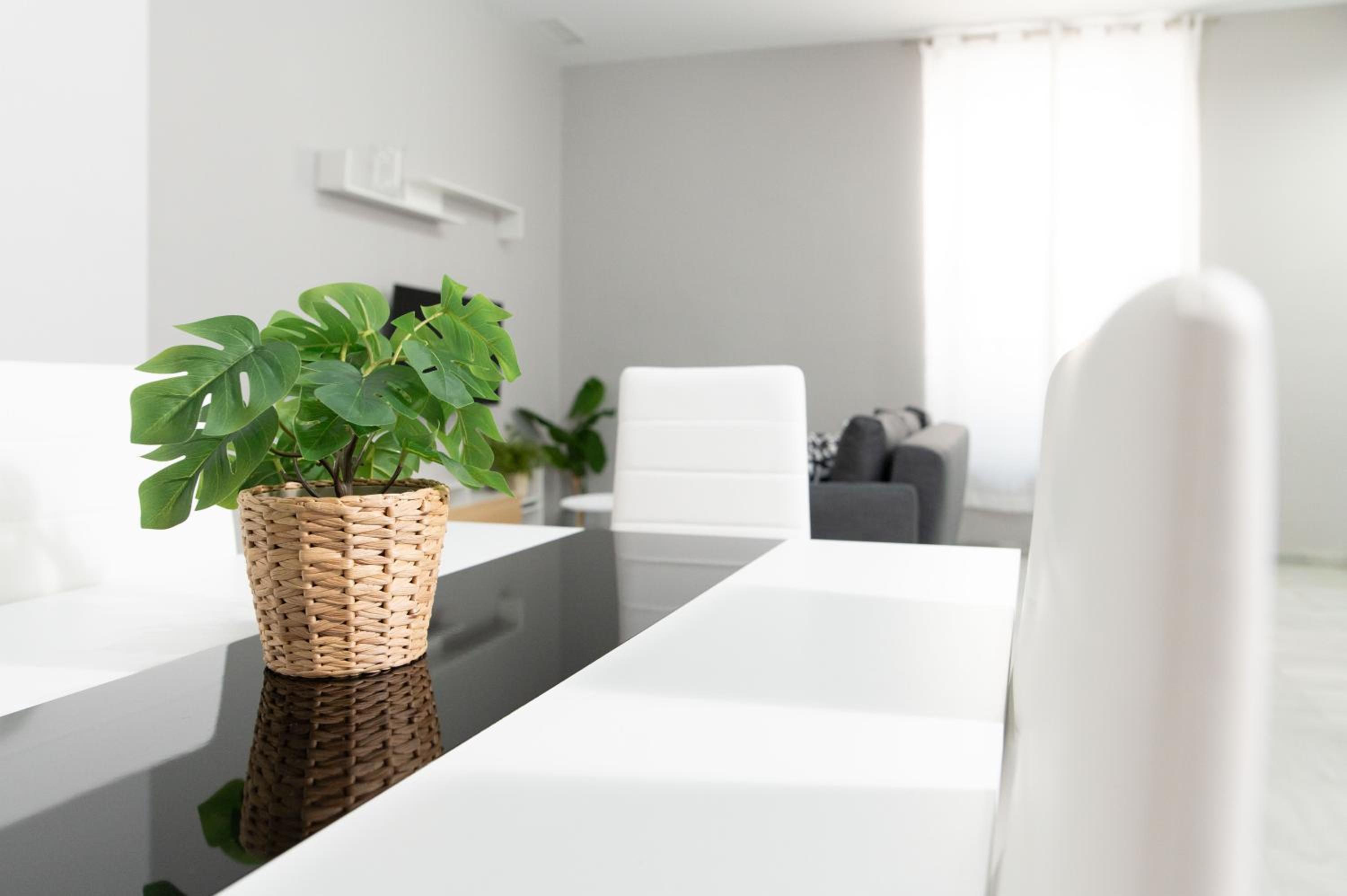 Alohamundi Alfarería II