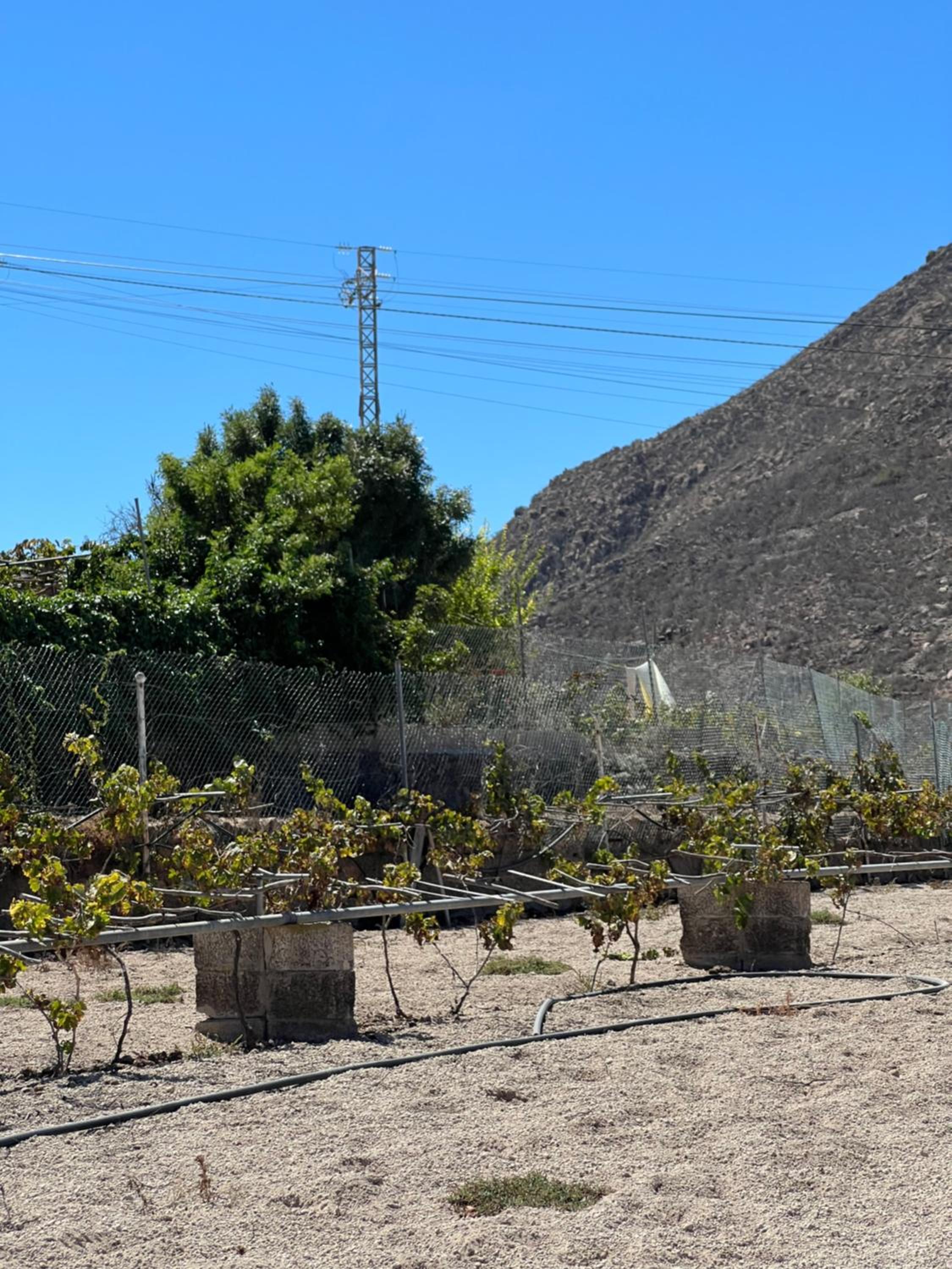Tantulia la casita del Caballo