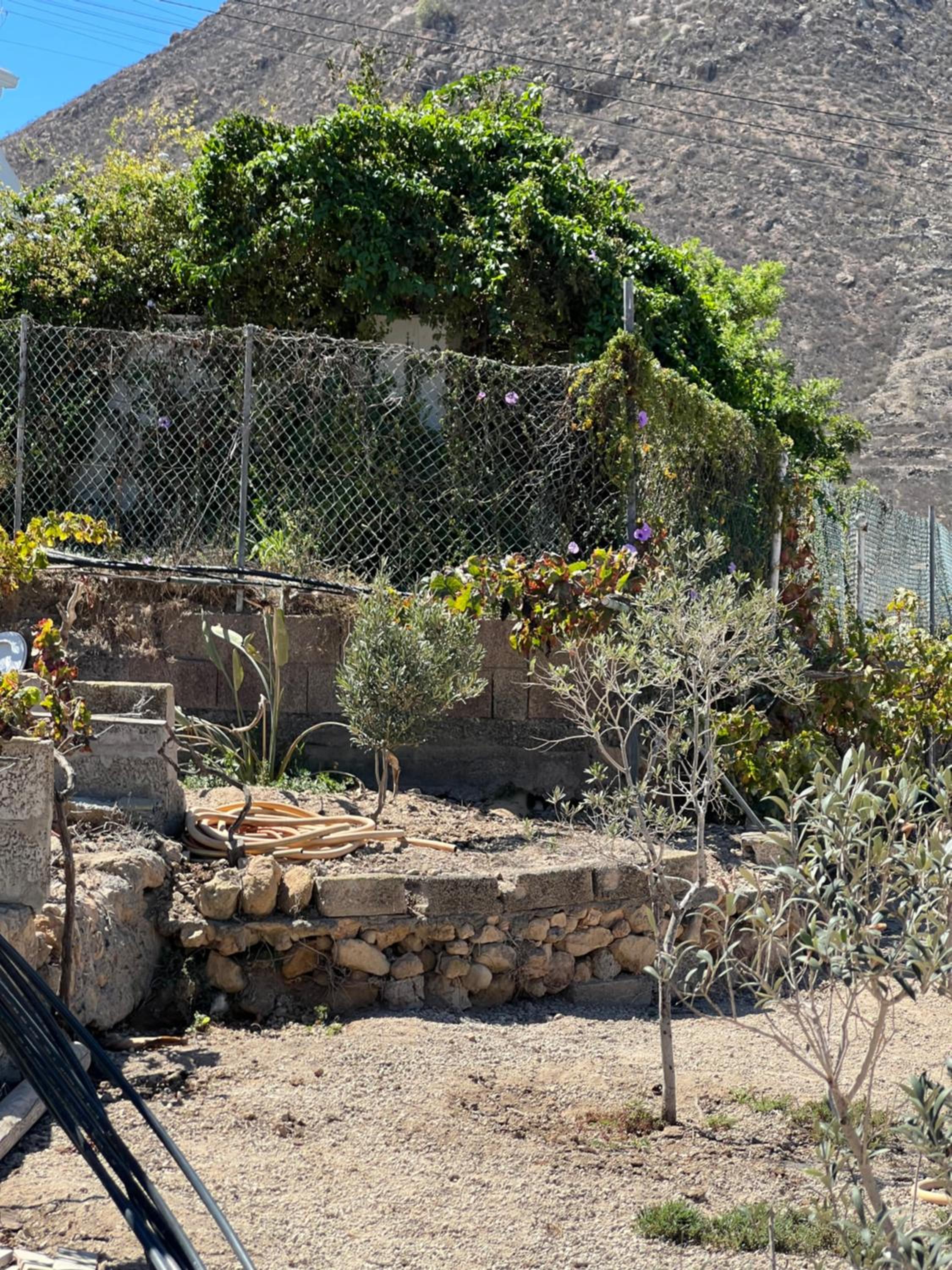 Tantulia la casita del Caballo