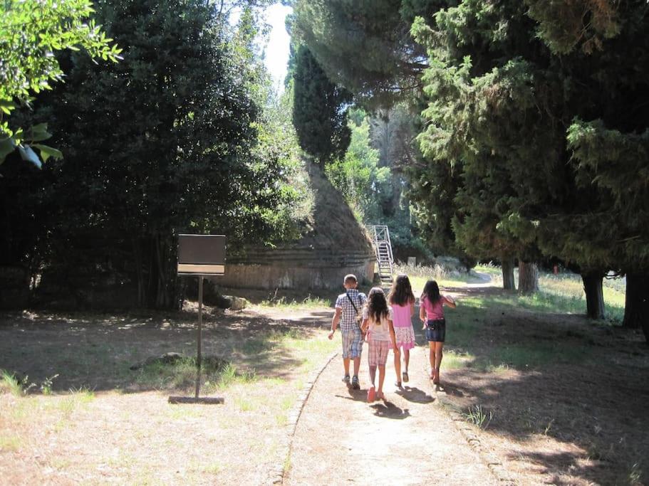 Il mare di Roma photo 5