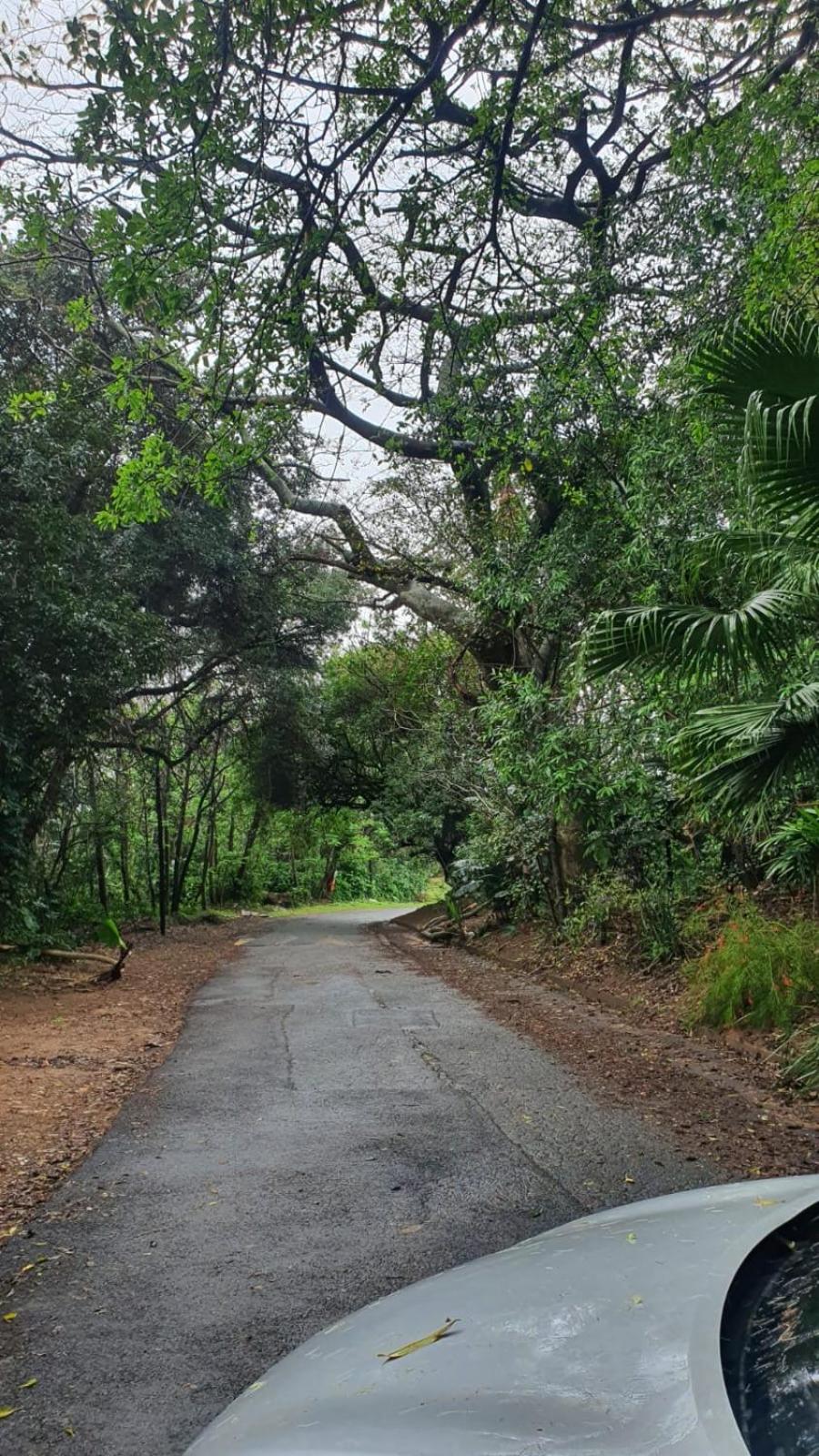 other