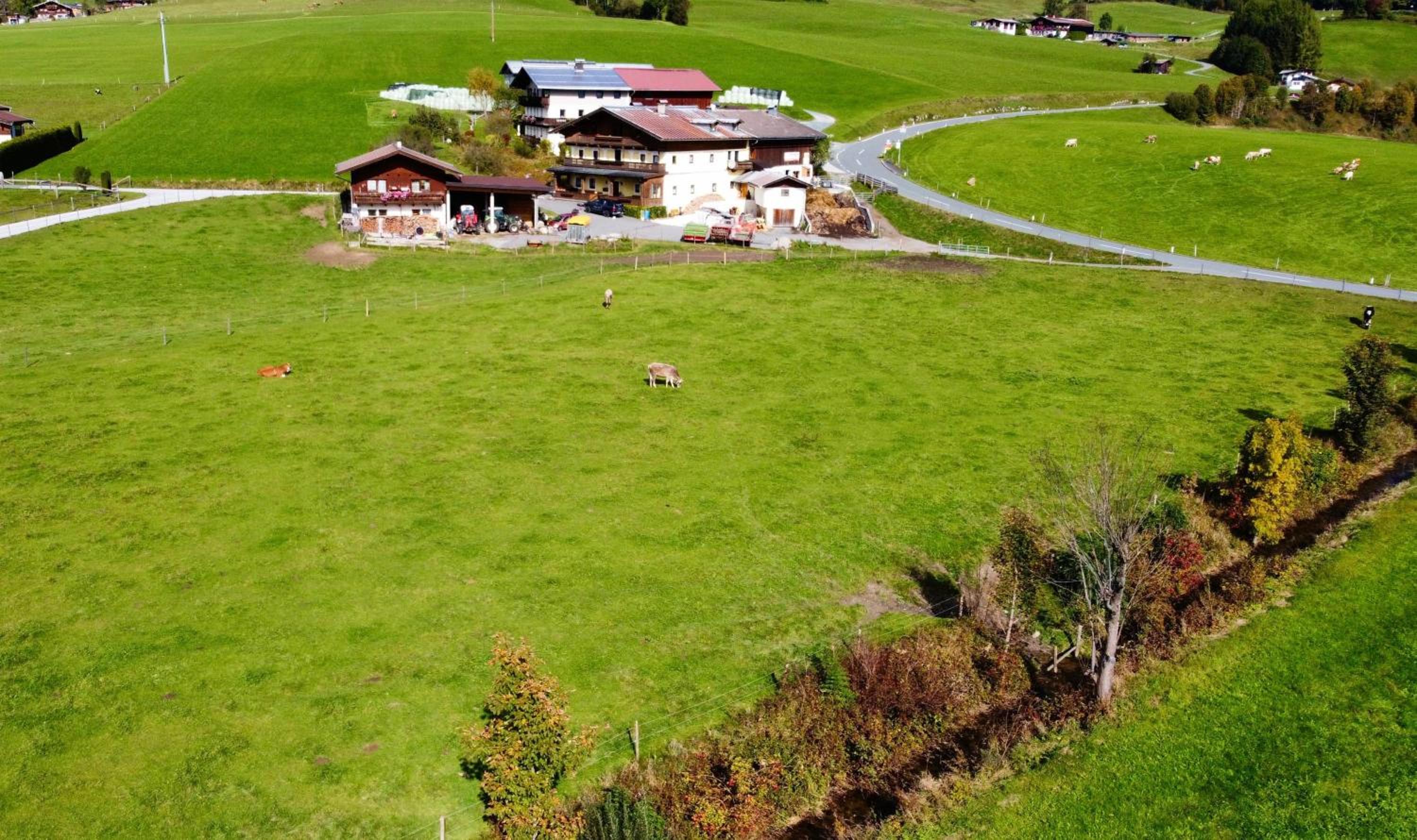 Lampererhof