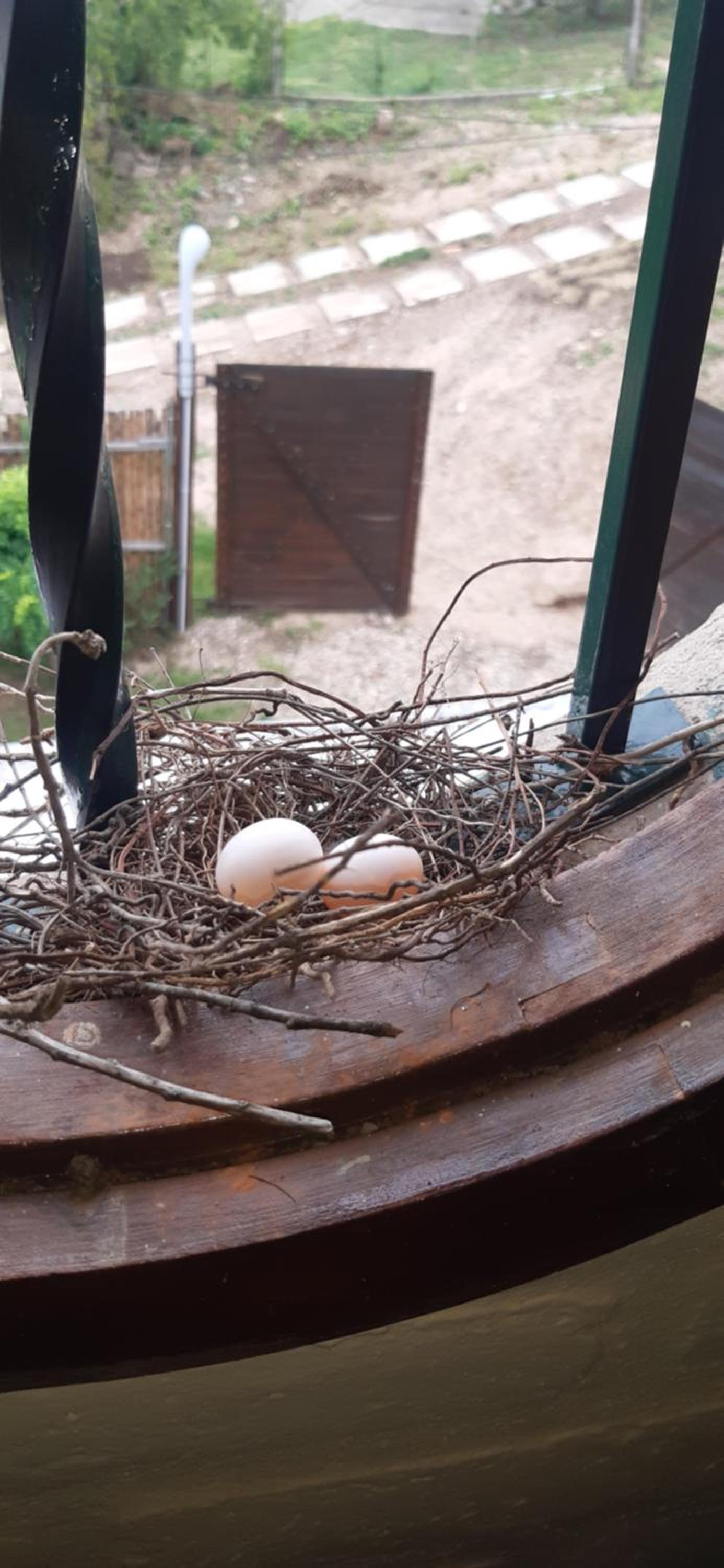 Piedramadre hermosa cabaña a metros del río hasta 4 huéspedes