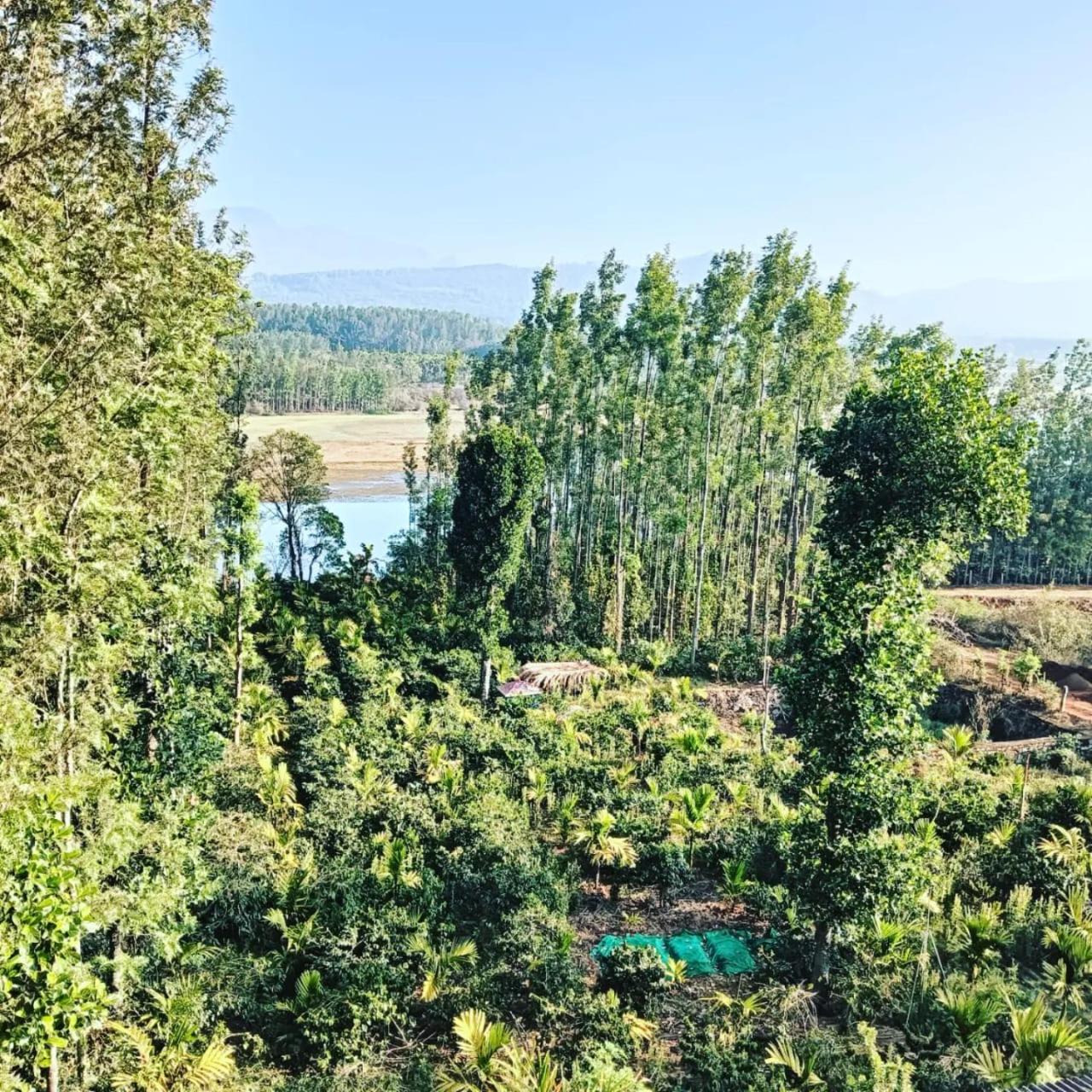 Giridhama homestay