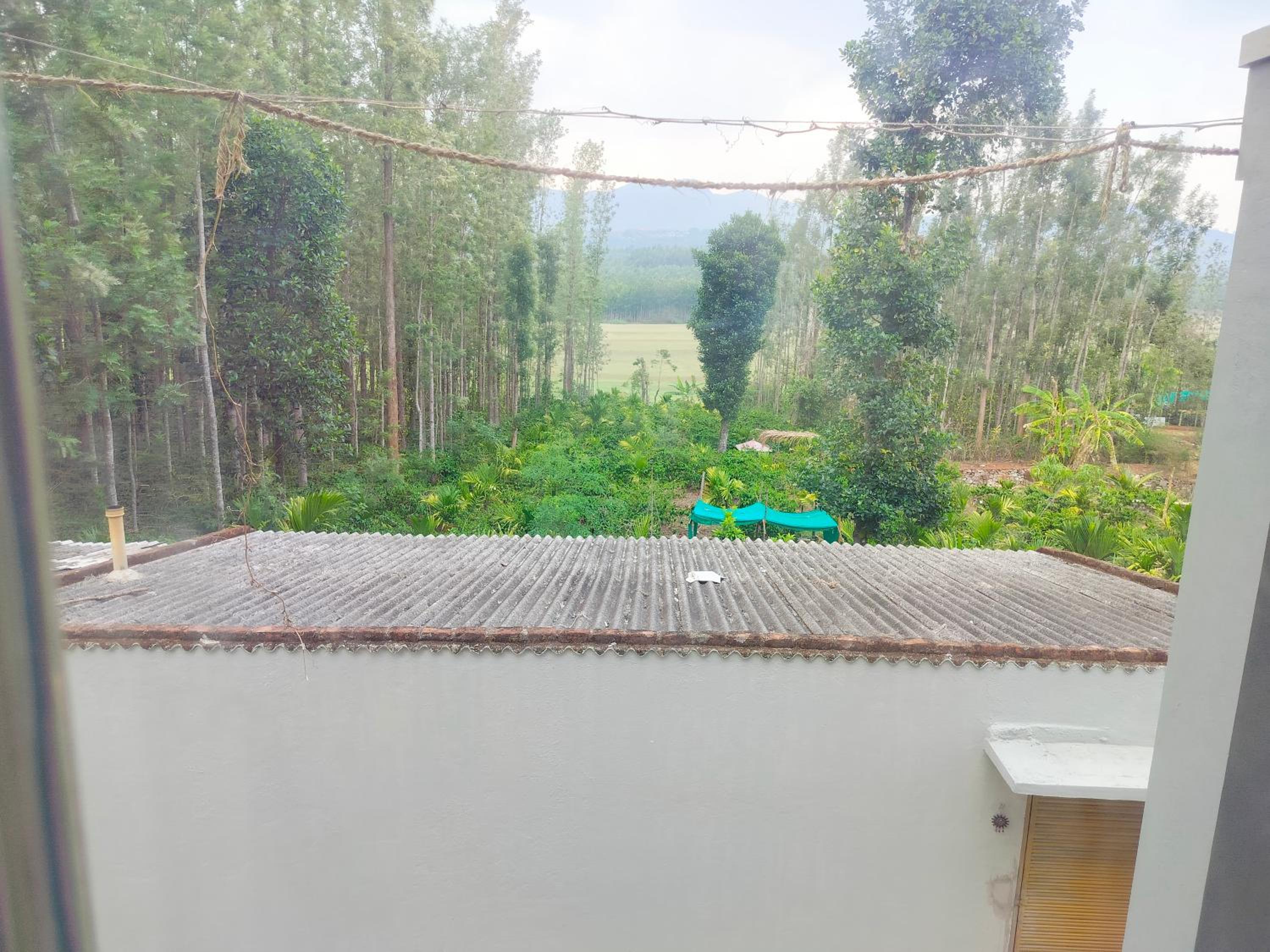 Giridhama homestay