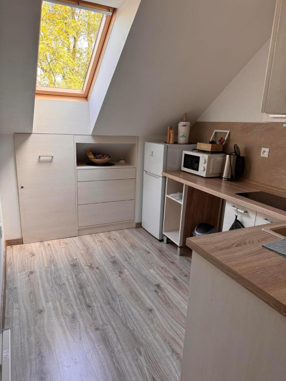 Apartman RUŽA7 view 5
