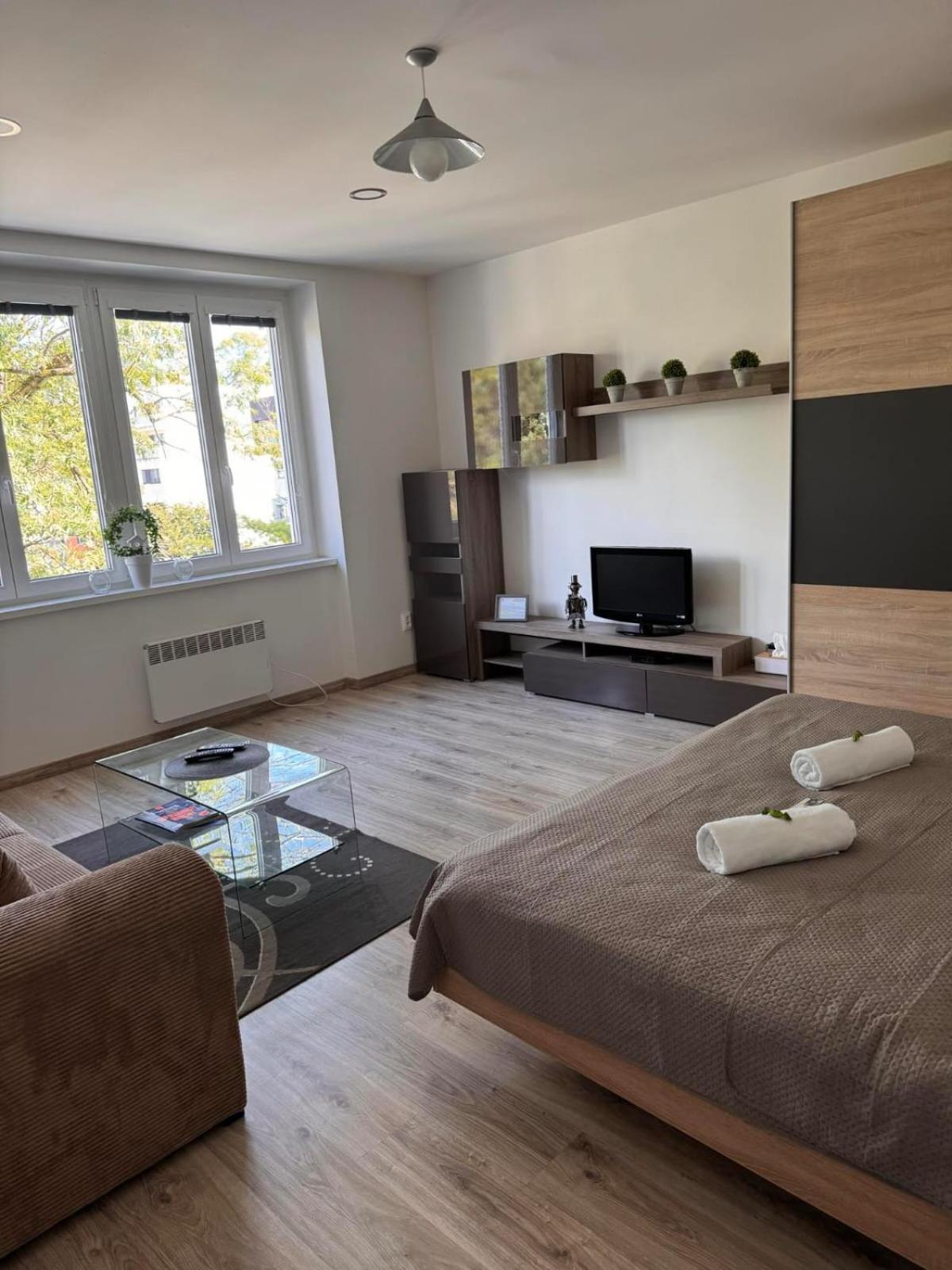 Apartman RUŽA7 view 3