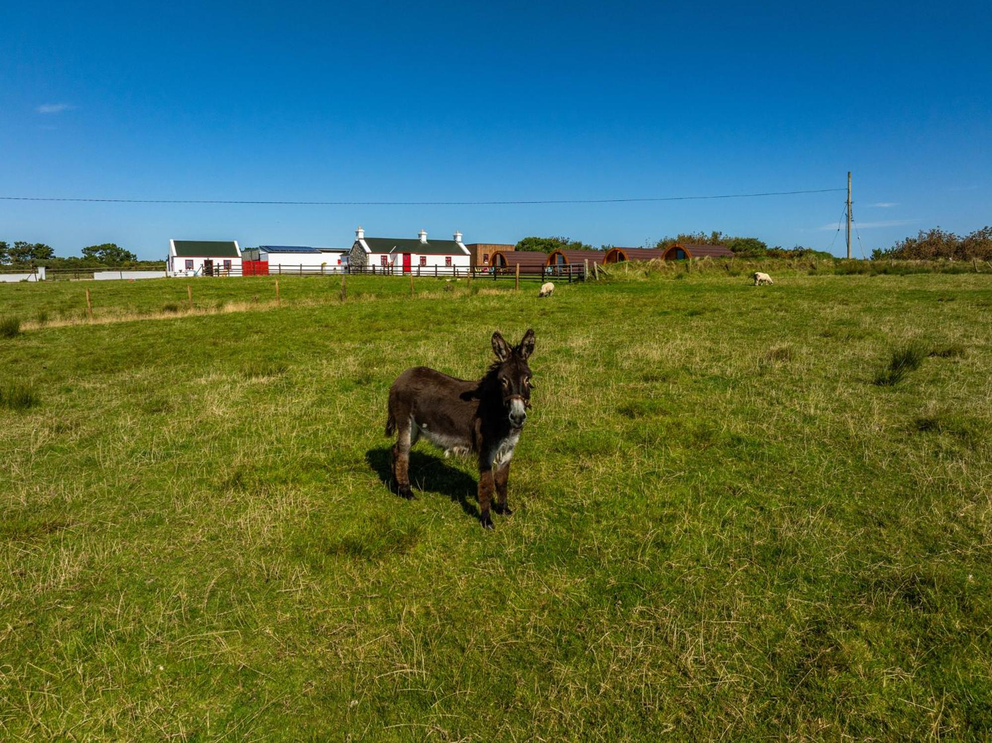 Geraghtys Farmyard Pods view 2