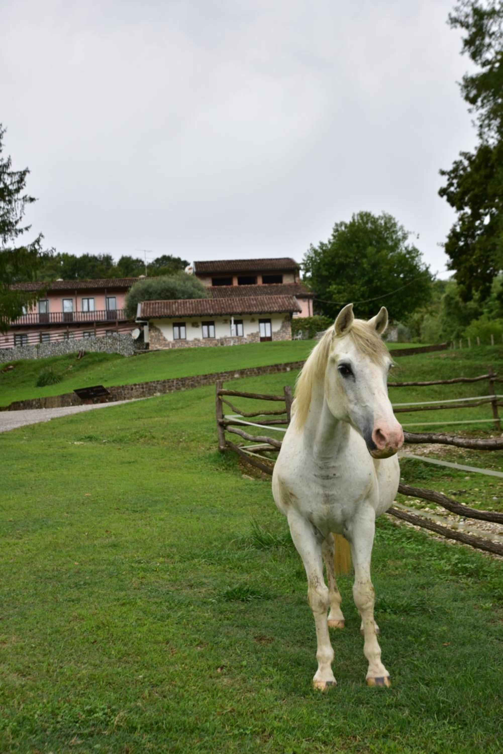 Tenuta Valdomini