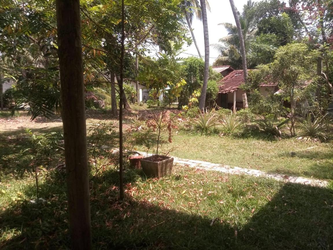 Photo 12