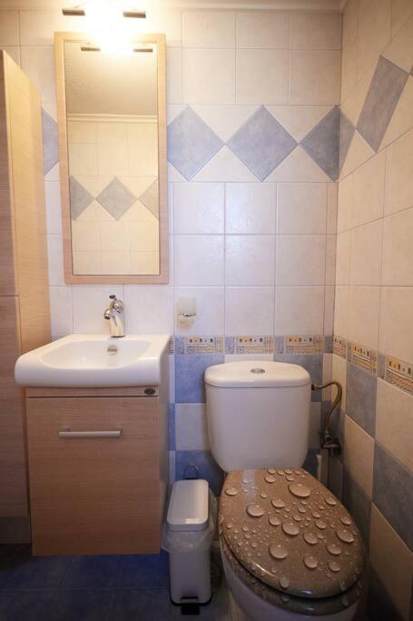 Luxury 3 Bedroom Apartment with Garden