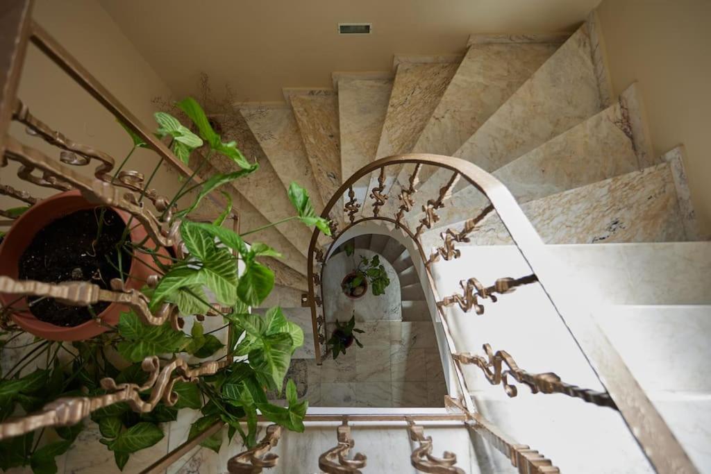 Luxury 3 Bedroom Apartment with Garden