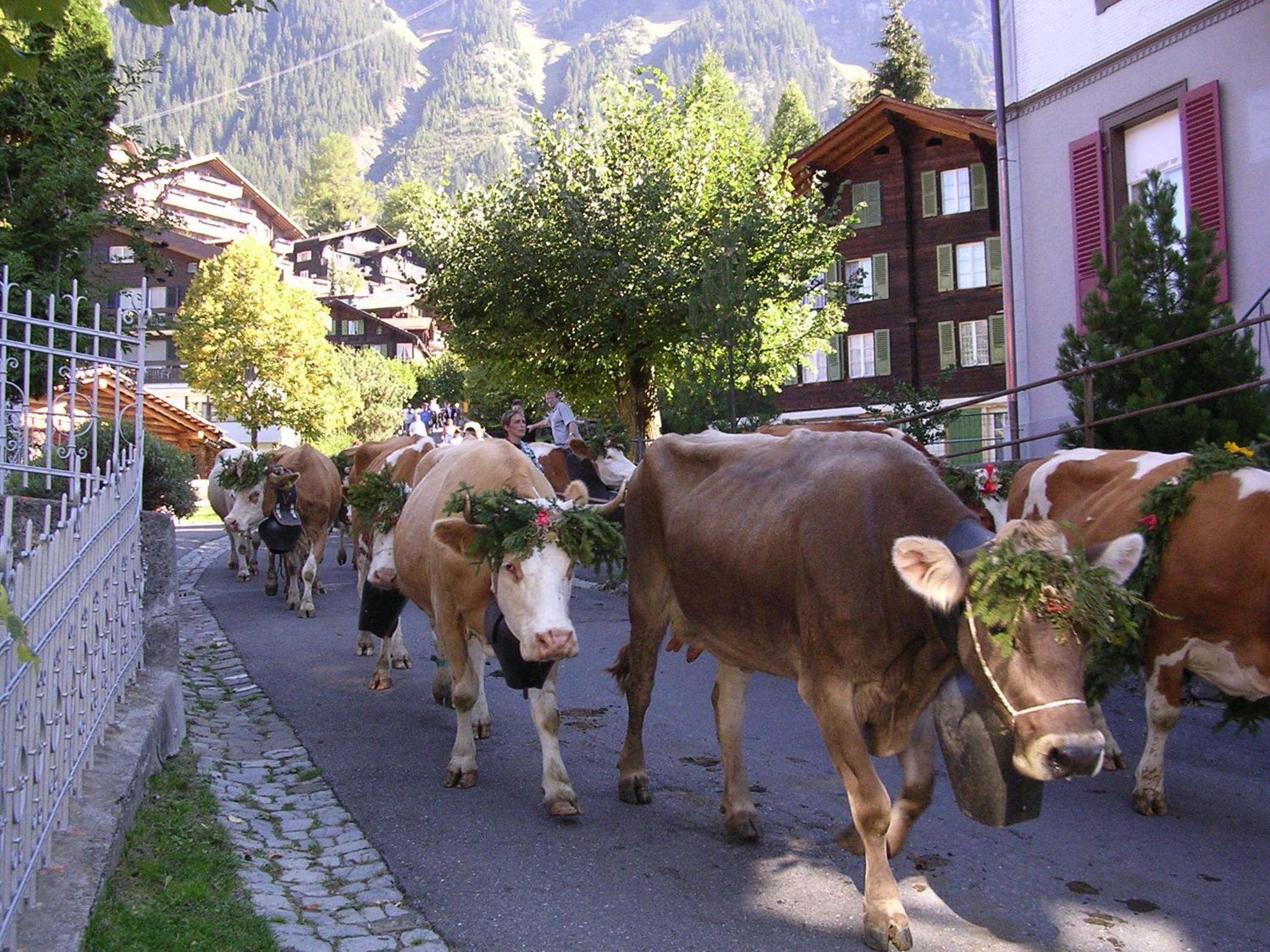 Chalet Acheregg