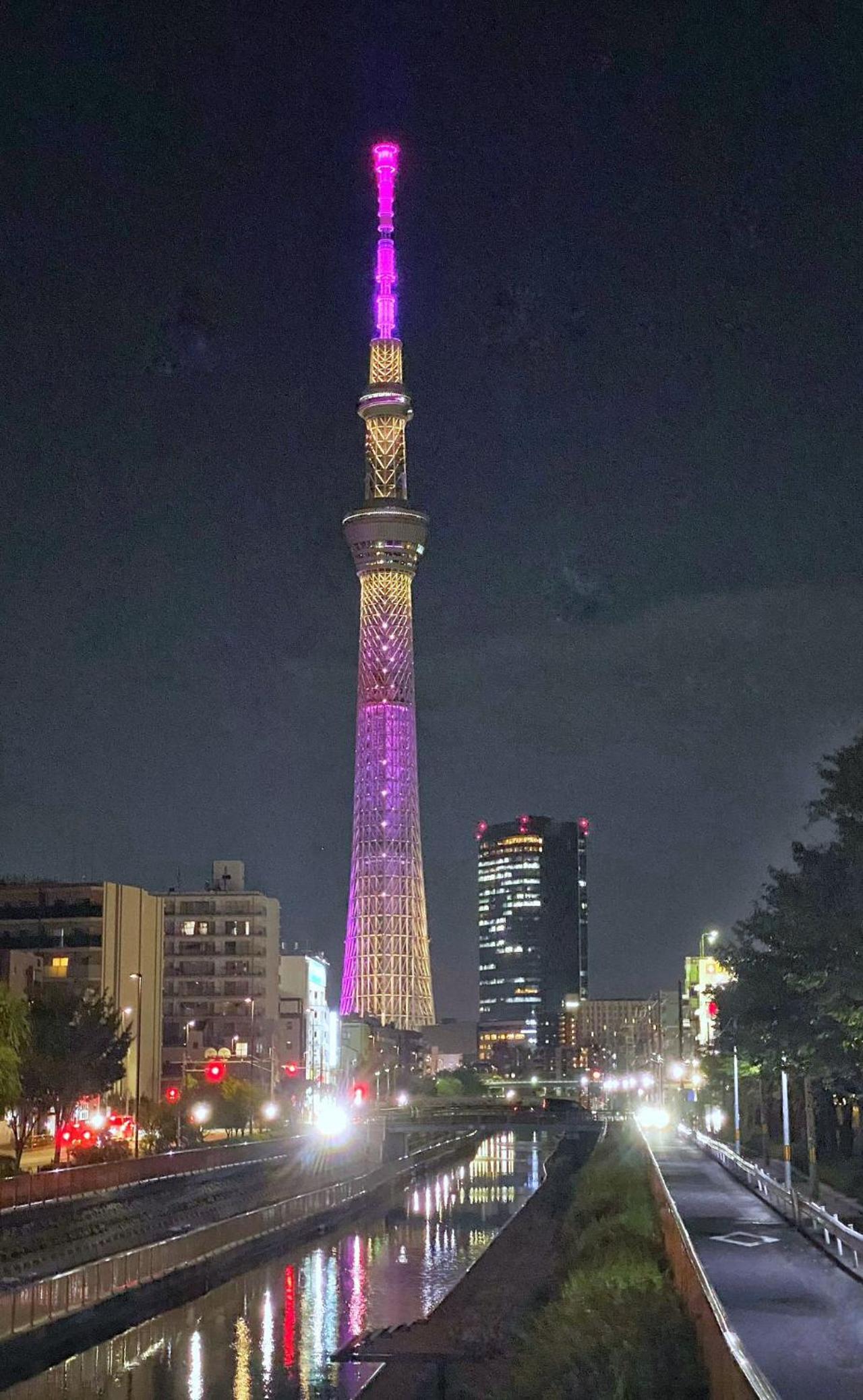 Tokyo Sakura hotel