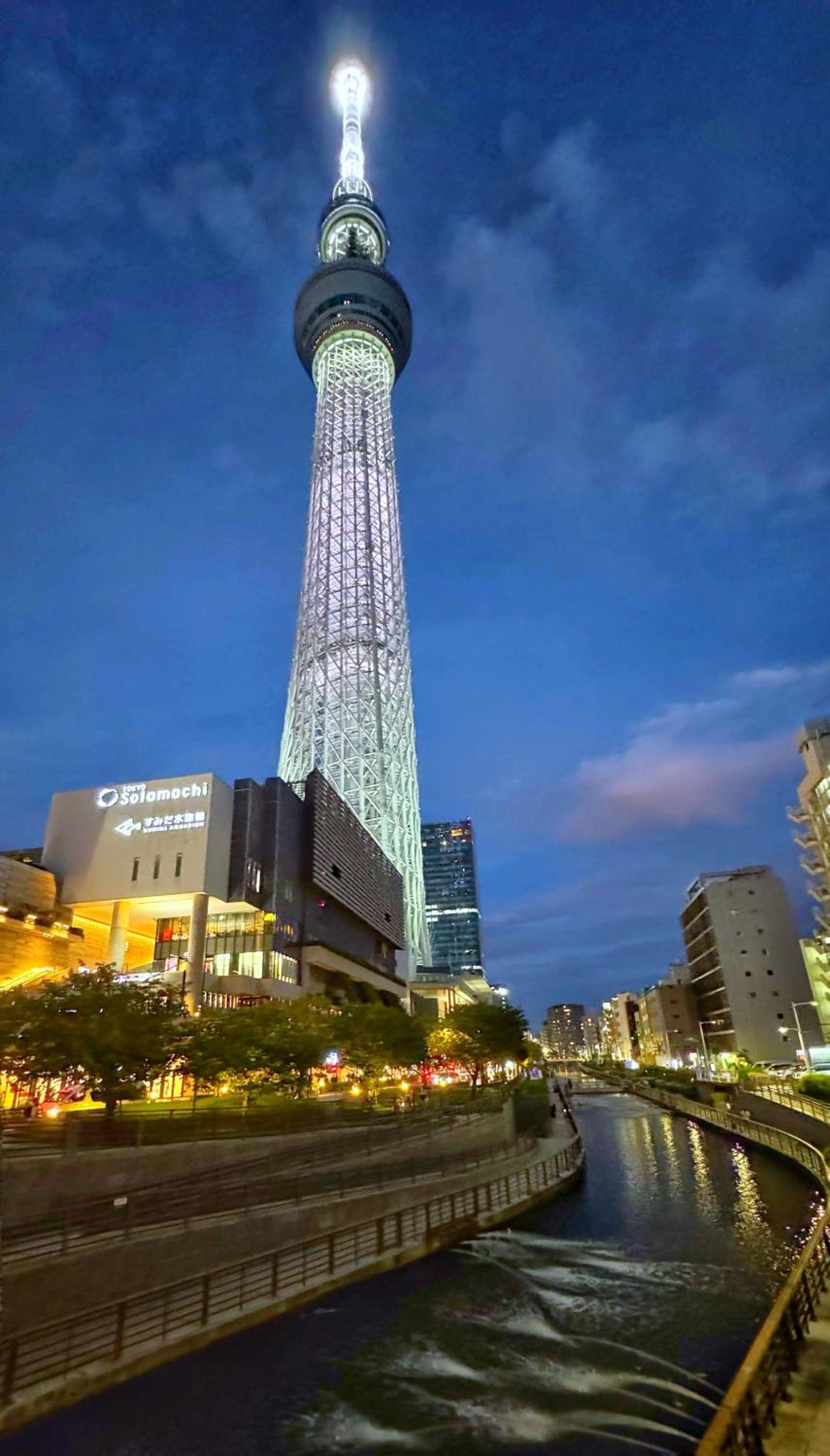 Tokyo Sakura hotel