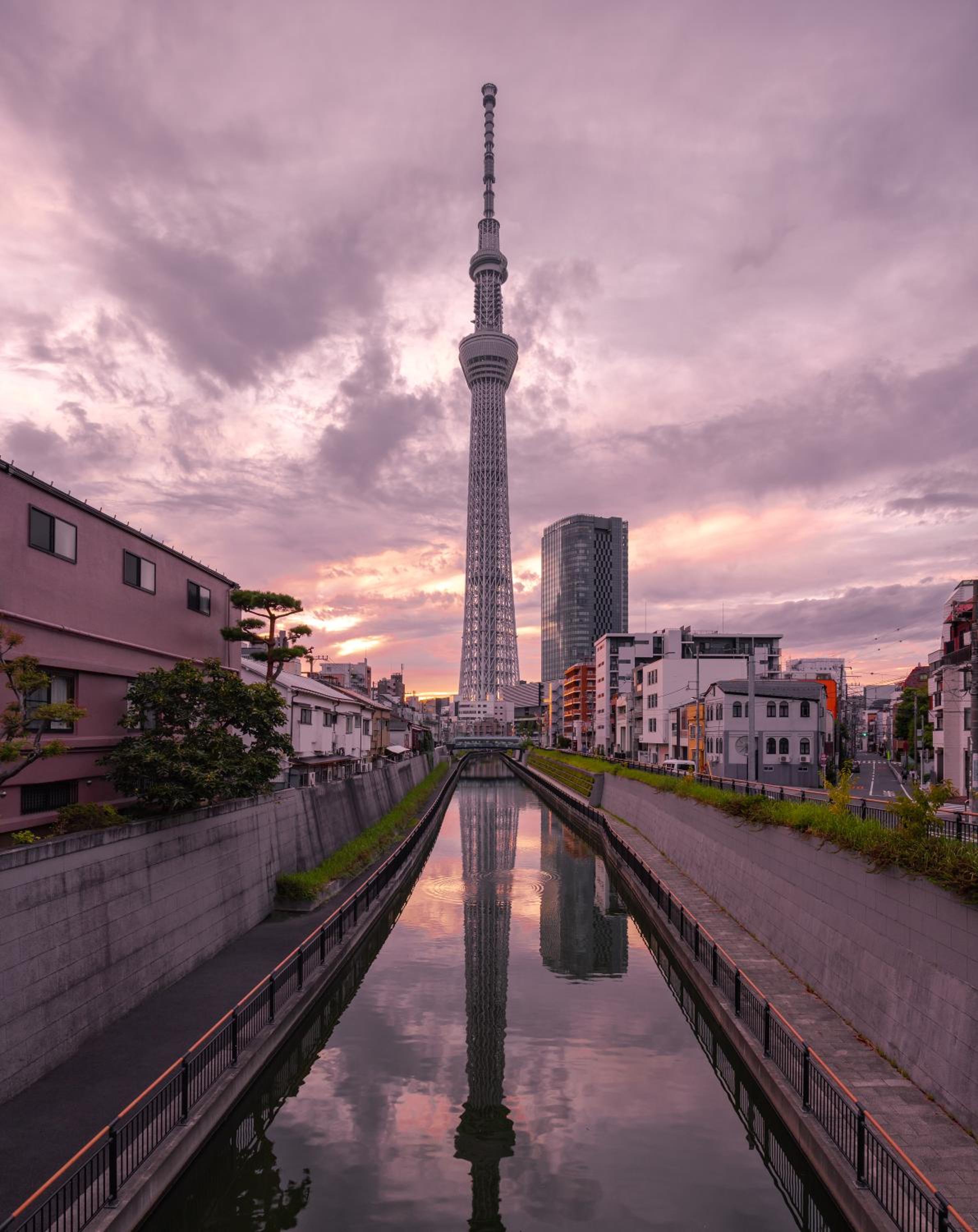 Tokyo Sakura hotel