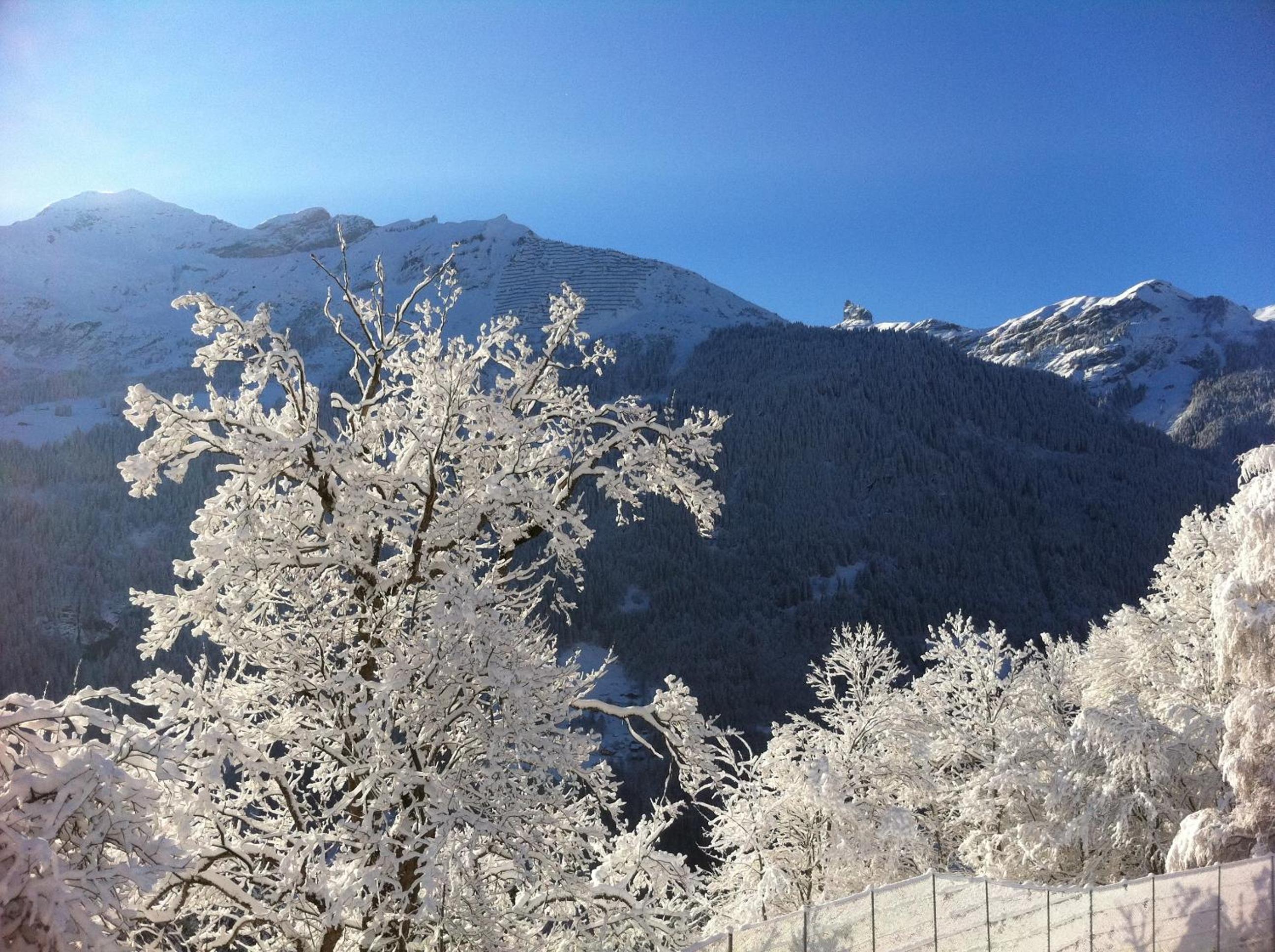 Chalet Acheregg