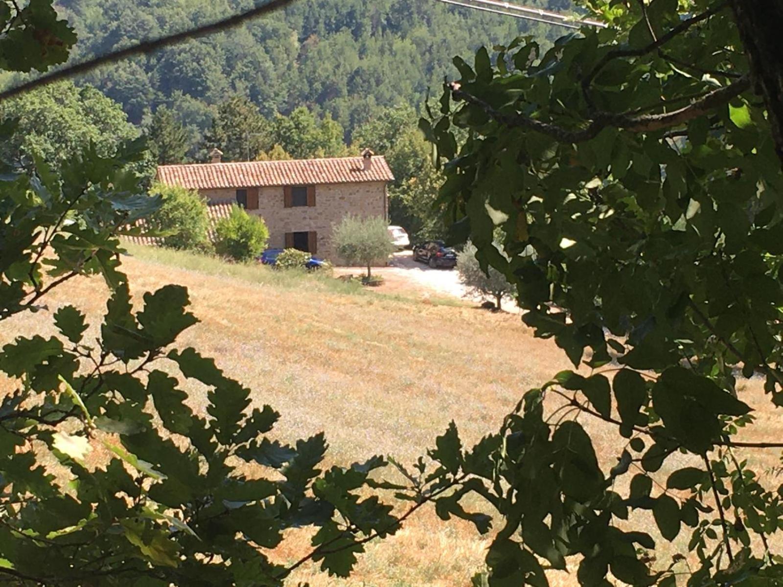 Agriturismo Casa Del Nonno view 5