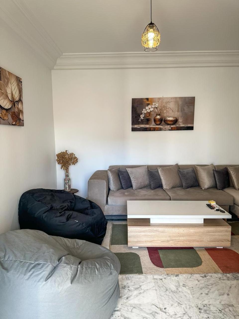 appartement richement meublé
