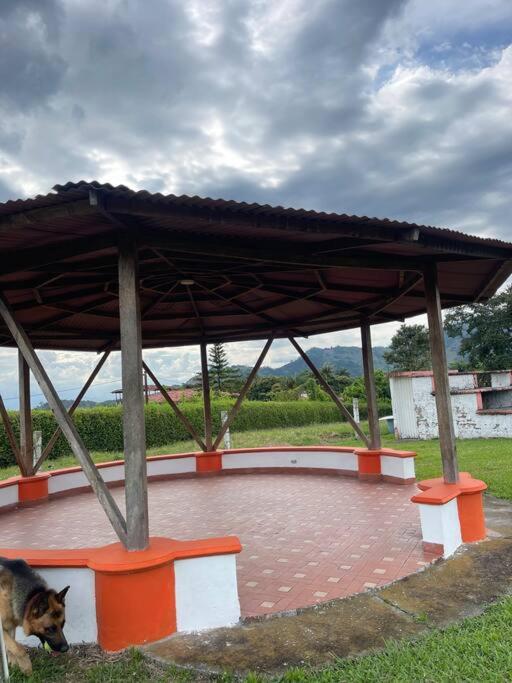 Finca San Francisco