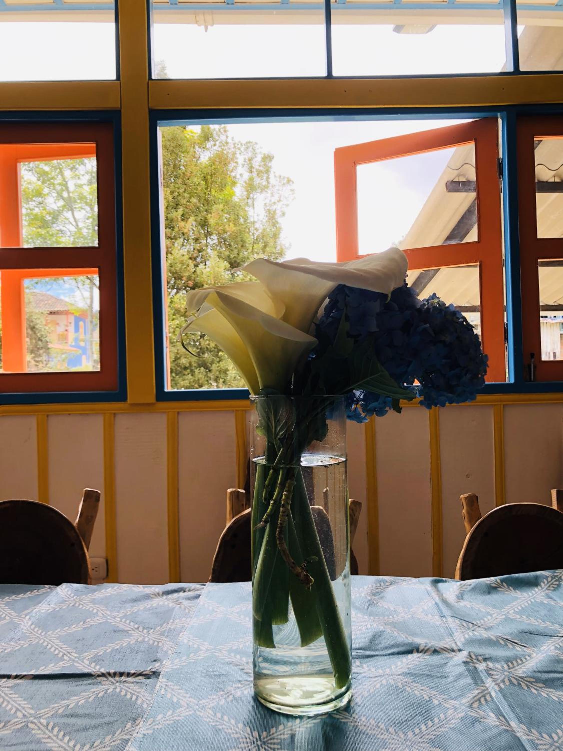 Mi Terruño Casa Alojamiento