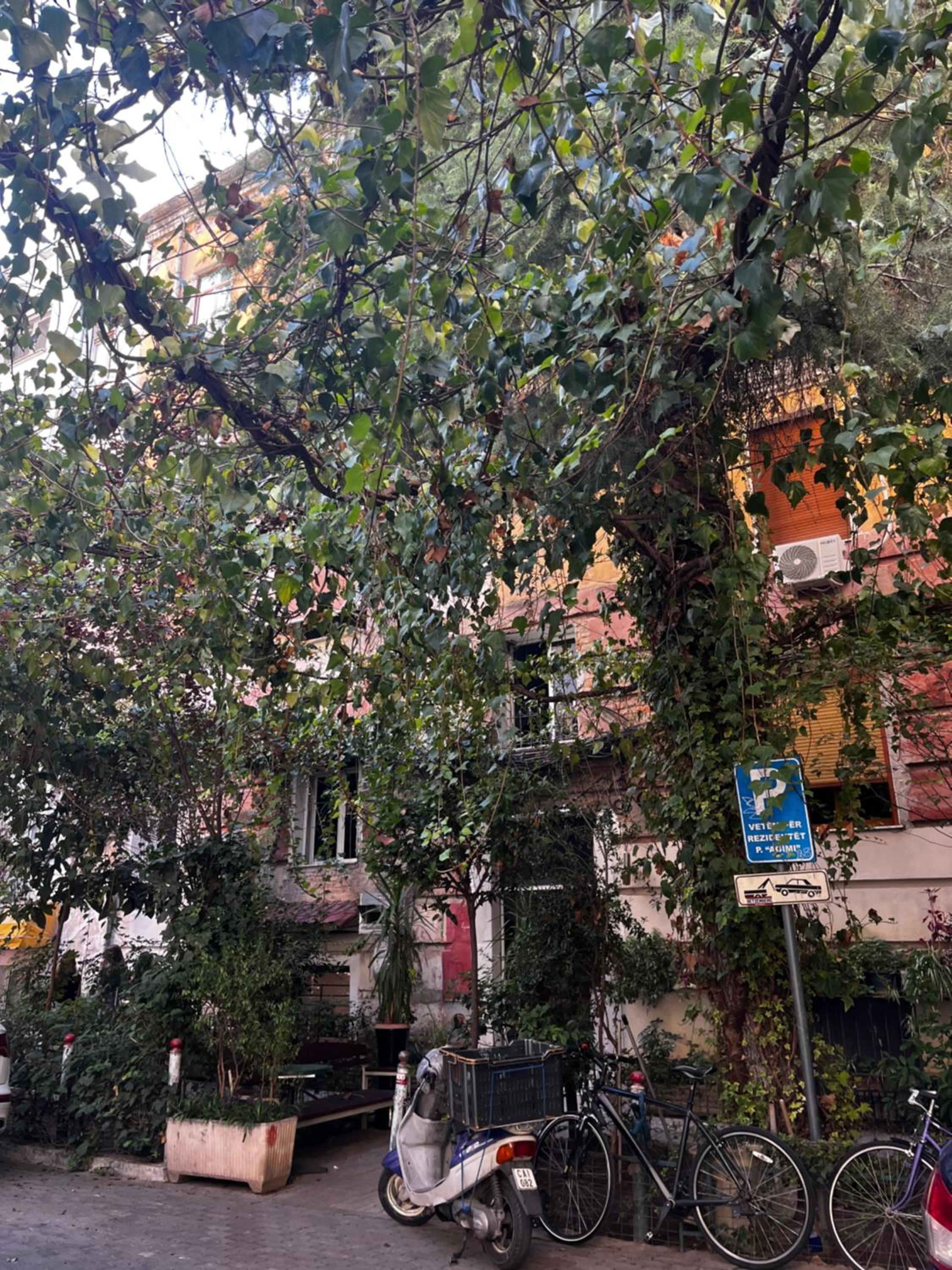 Zaira City Retreat