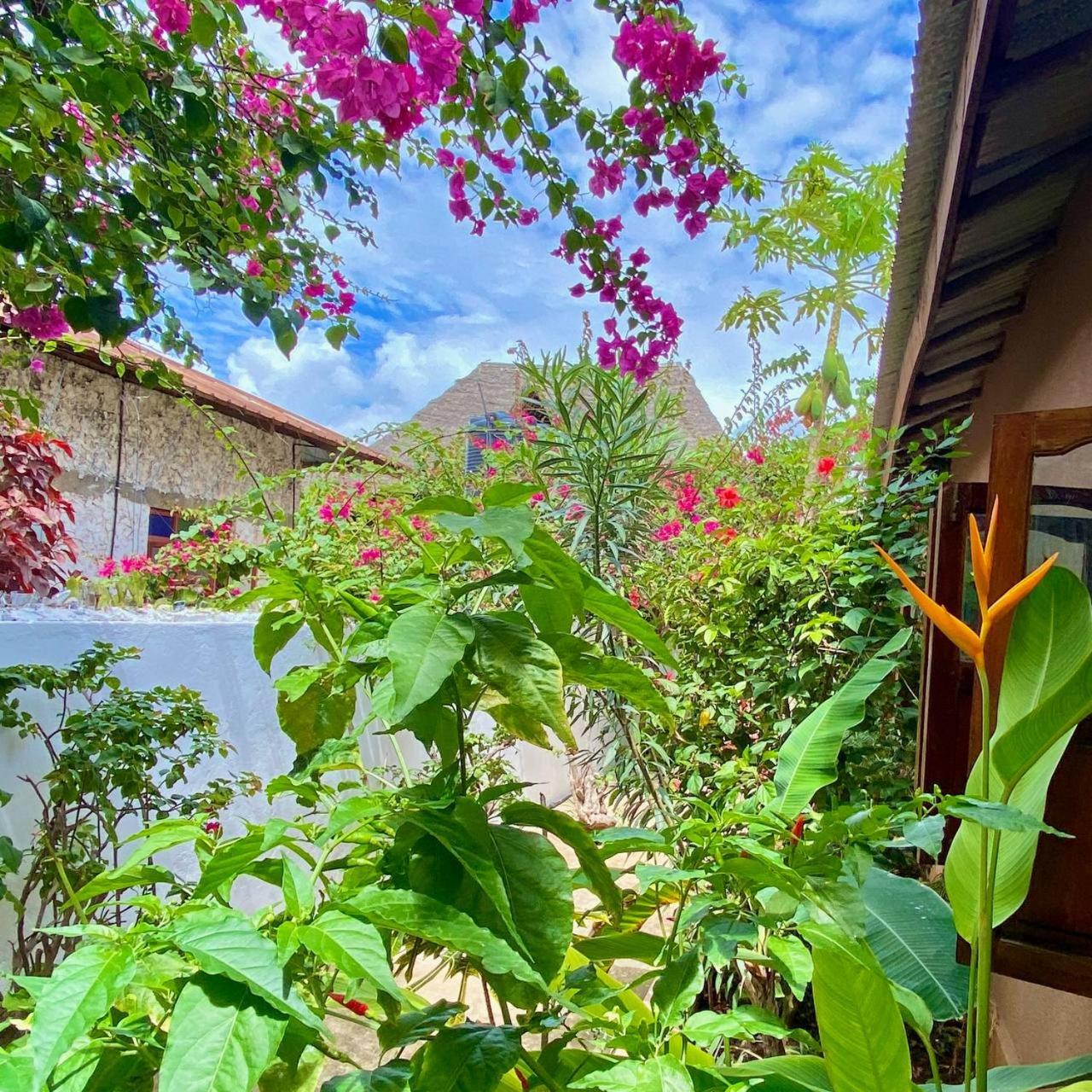 Samsara Beach House view 2