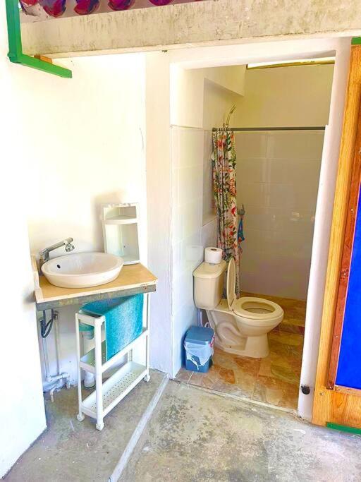 Estudio en Perla Marina