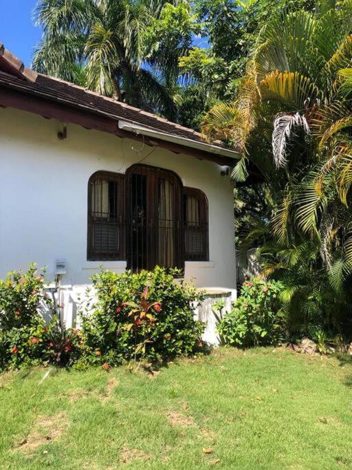 Estudio en Perla Marina