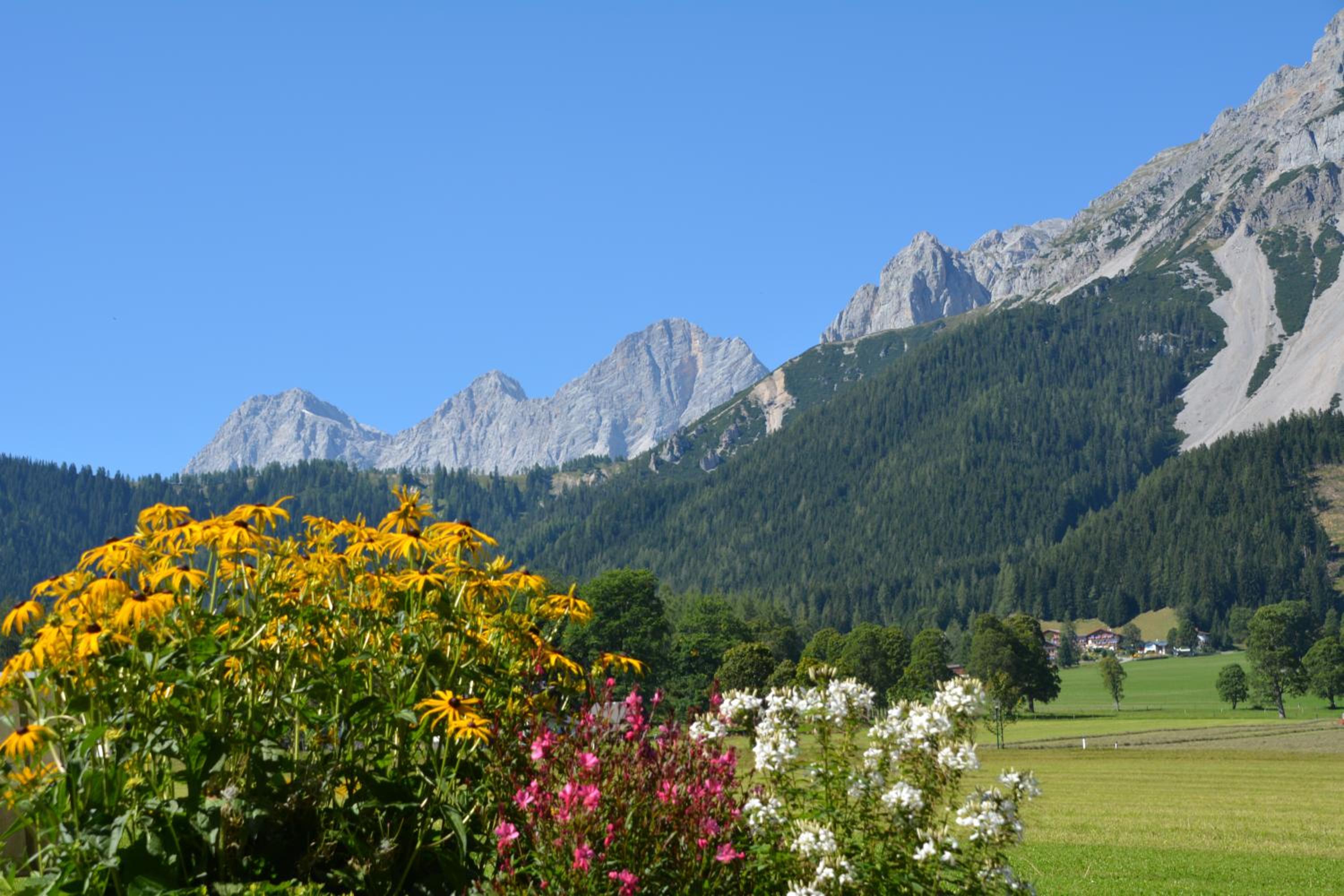 Forsterhof