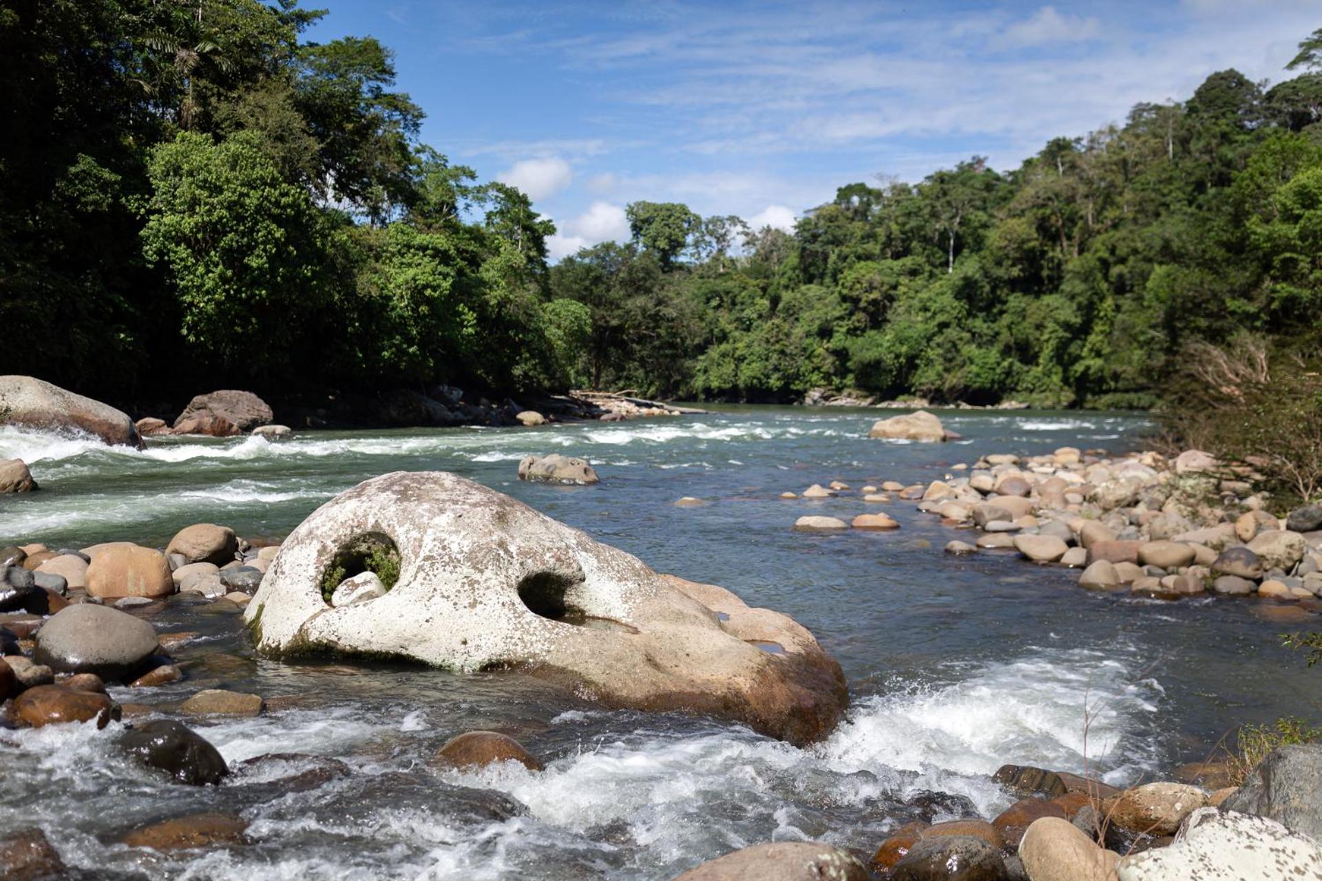 Kuyana Amazon Lodge
