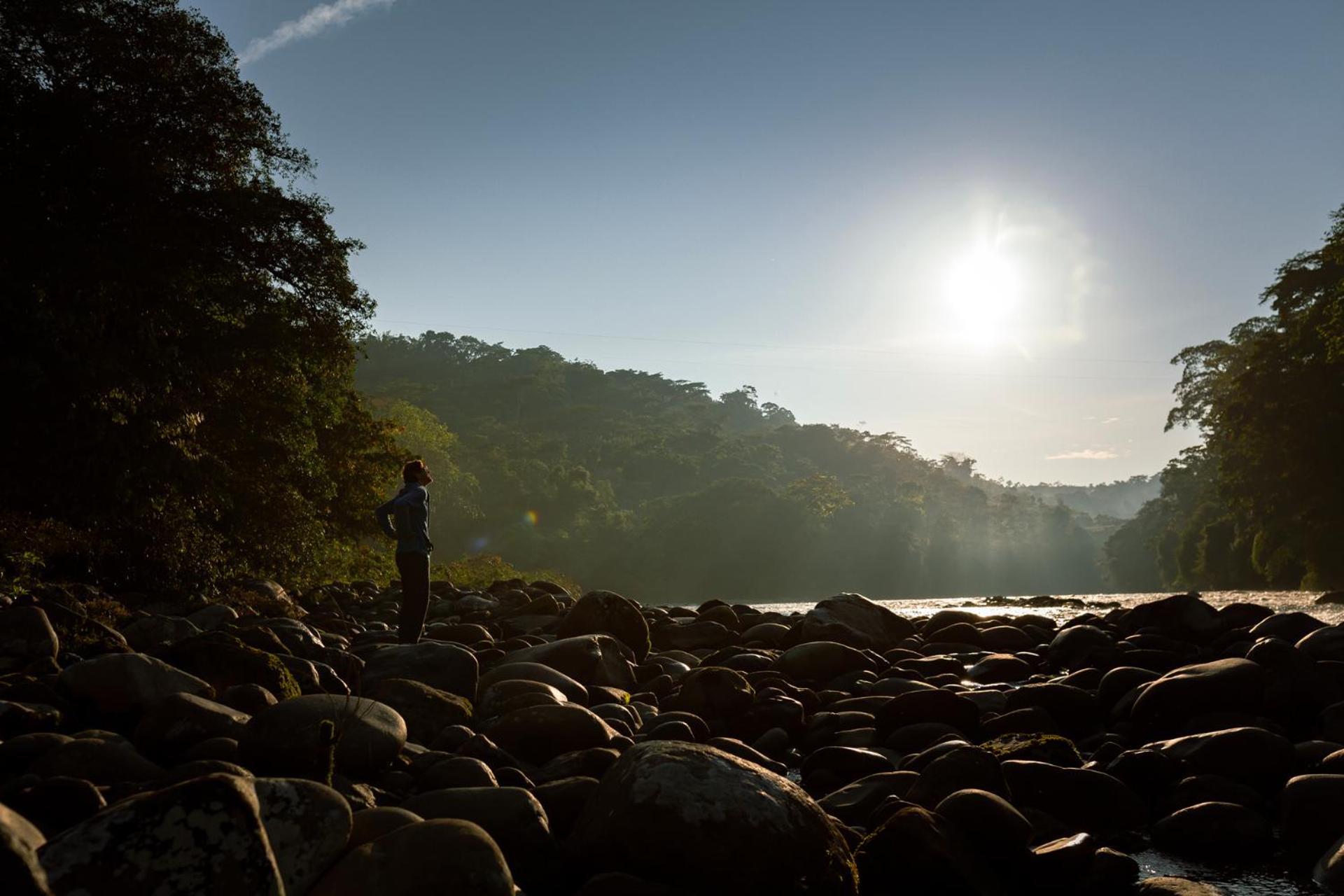 Kuyana Amazon Lodge
