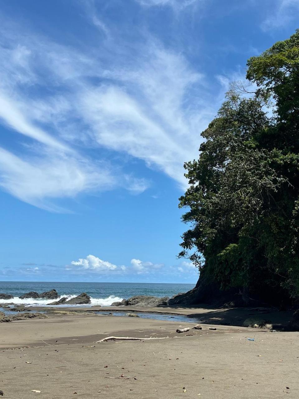 Pacific Waves Hostel & Surf